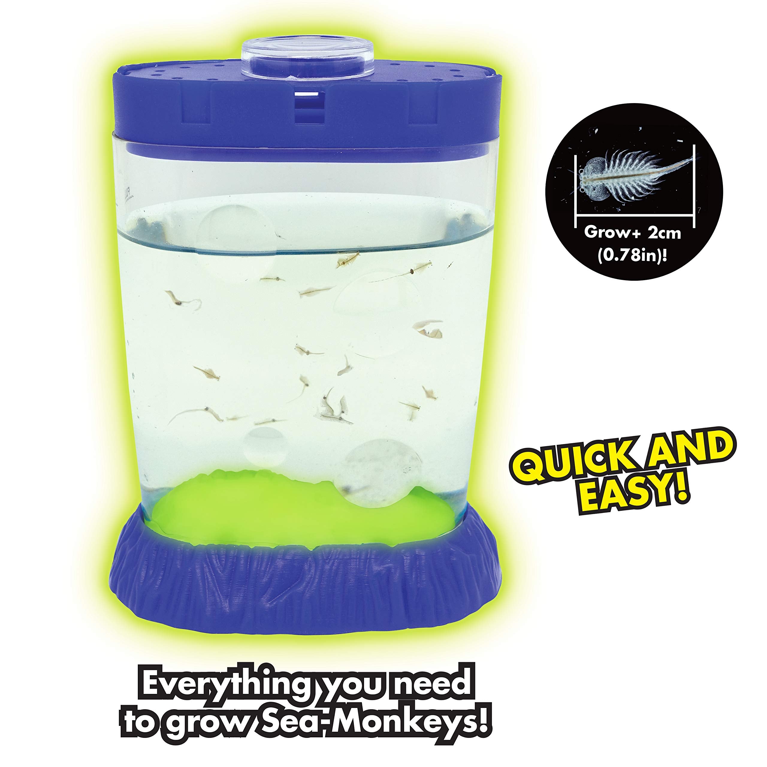 Sea Monkeys Glow in the Dark Magiquarium - Educational Science Kit for Kids 6+ 4