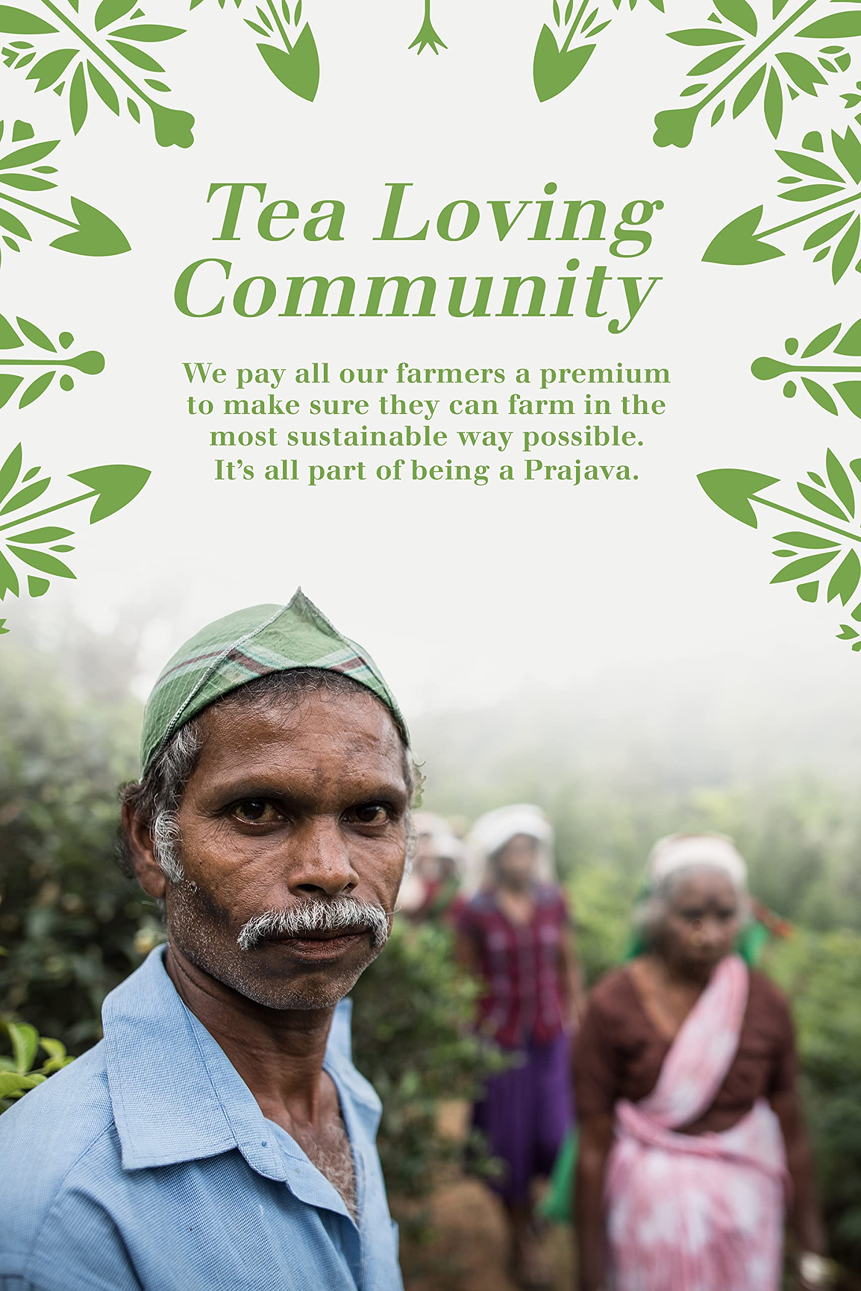 English Tea Shop Organic Luxury Gift Tin - 36 Tea Bags, 6 Varieties, Compostable Packaging 6