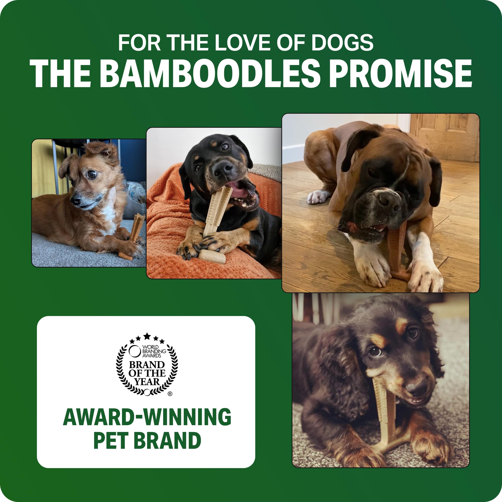 Bamboodles T-Bone Dog Chew Toy - Large Size | Durable Nylon & Bamboo Fibre | Beef Flavour 7