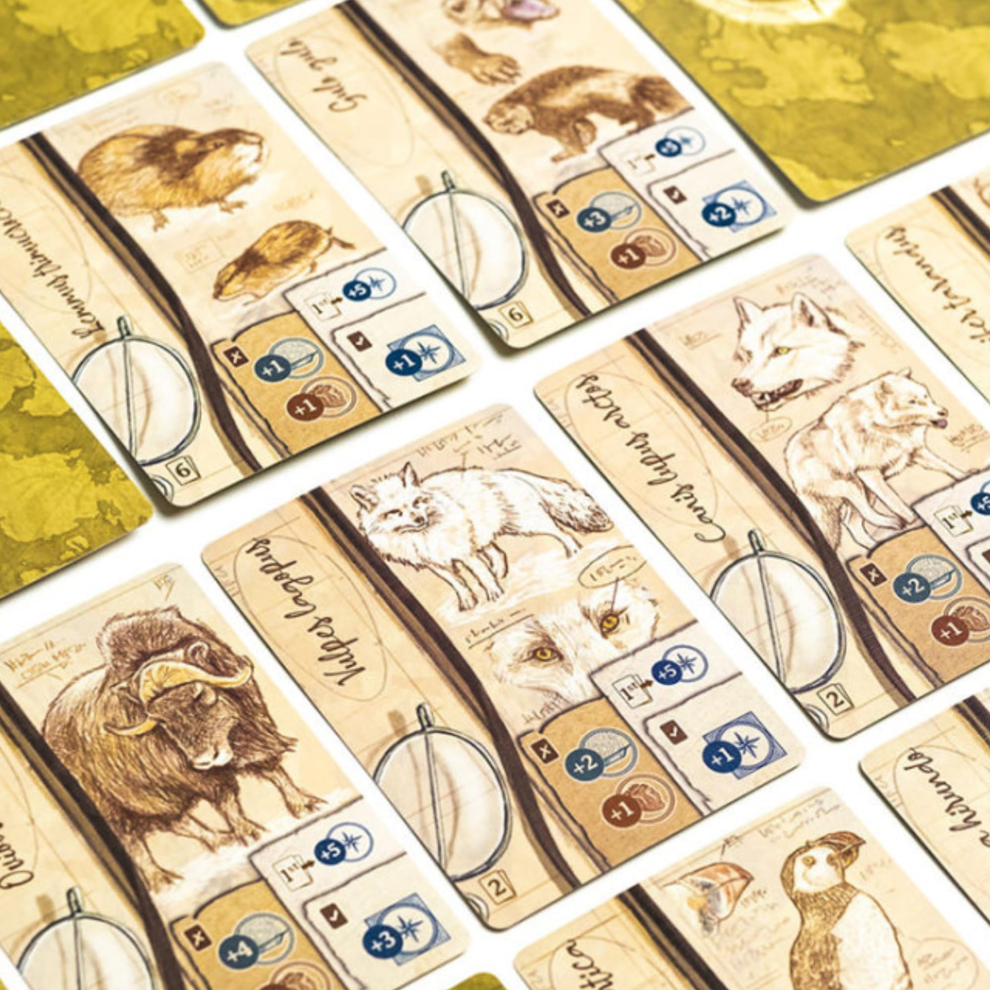 2Tomatoes Games Through Ice and Snow Arctic Exploration Board Game 4