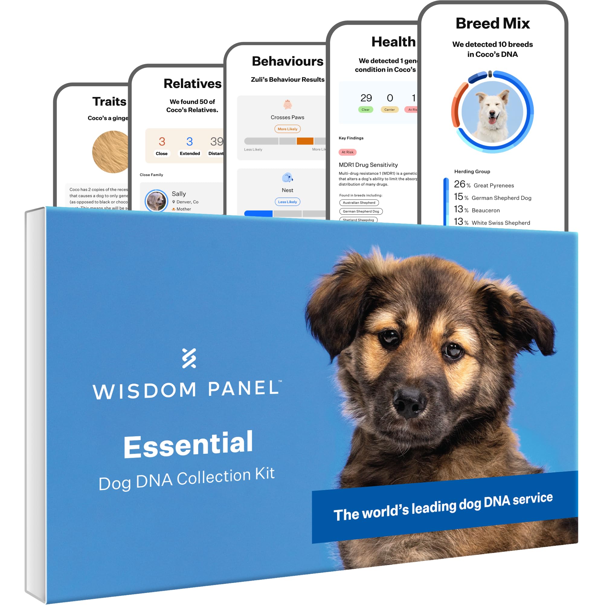 Wisdom Panel Essential Dog DNA Test Kit for Breed ID, Health Screening & Traits | 365+ Breeds 1