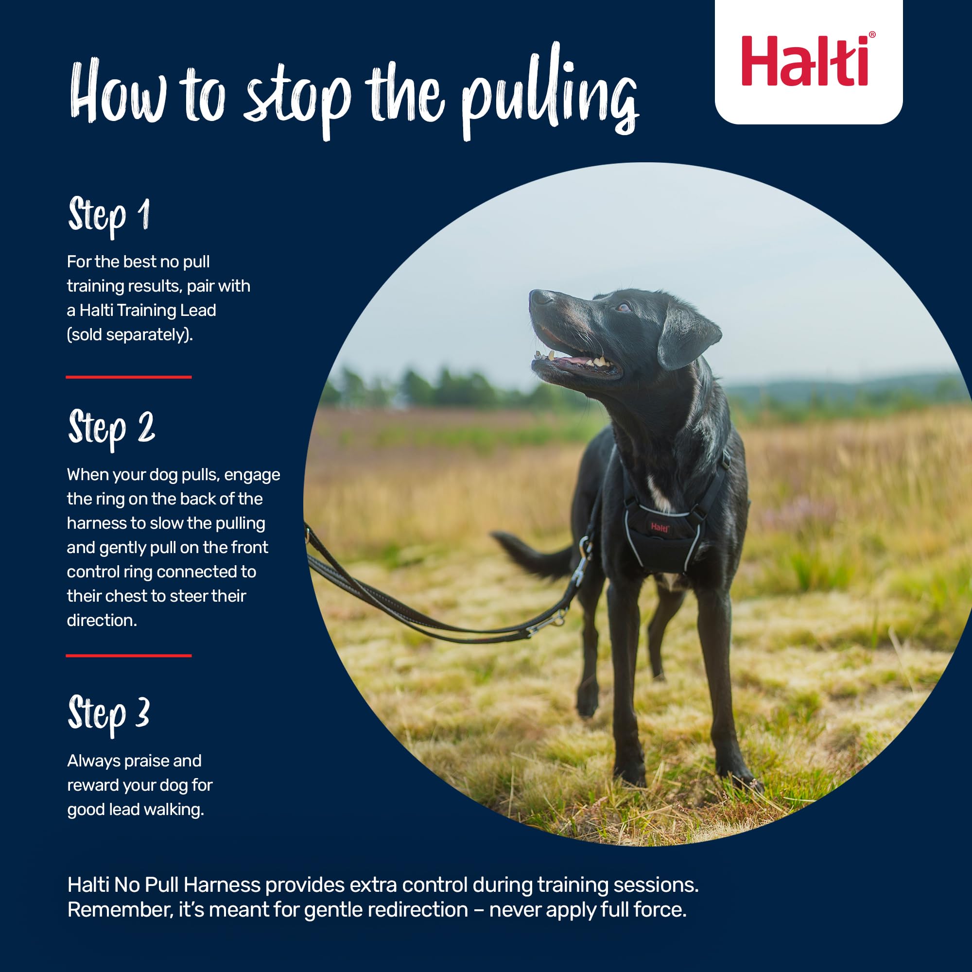 Halti No Pull Harness - Stops Pulling with Front Control Steering | Size S | Desert Sand 4