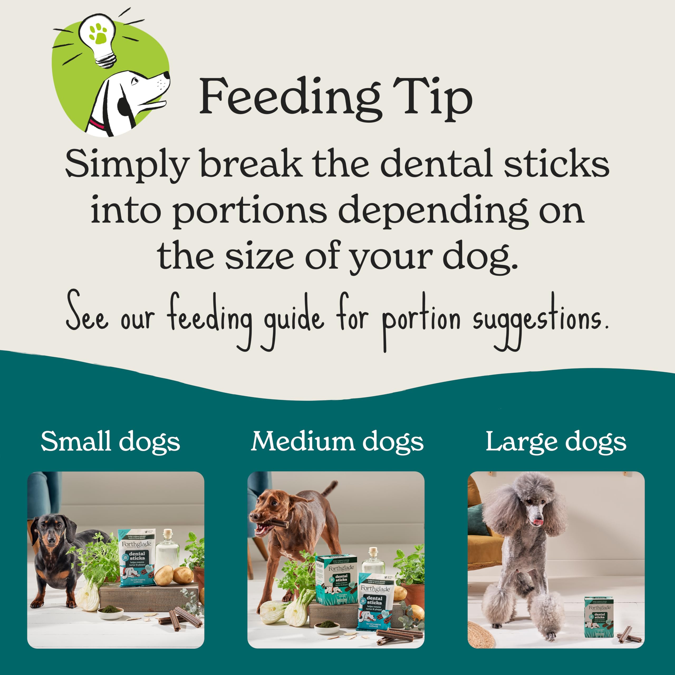 Forthglade Natural Dog Dental Sticks - Plant Based Mint Flavor | 10 x 185g Bags (50 Sticks Total) 8
