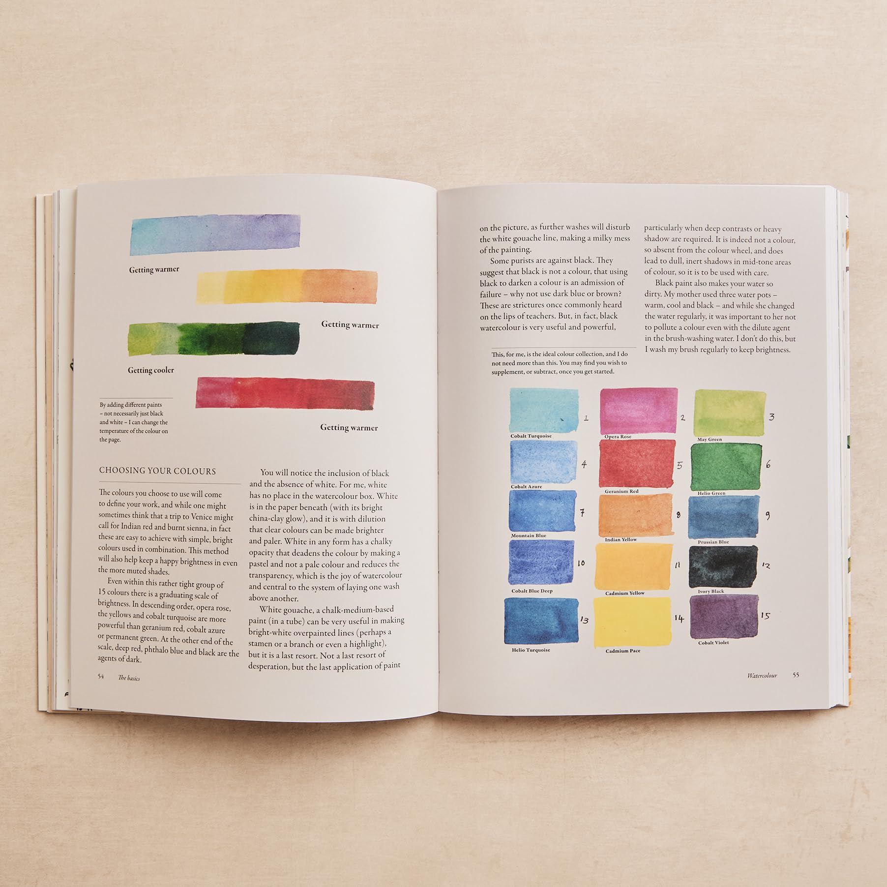 Ilex Press How to Look, Draw & Paint by Matthew Rice | Paperback 5
