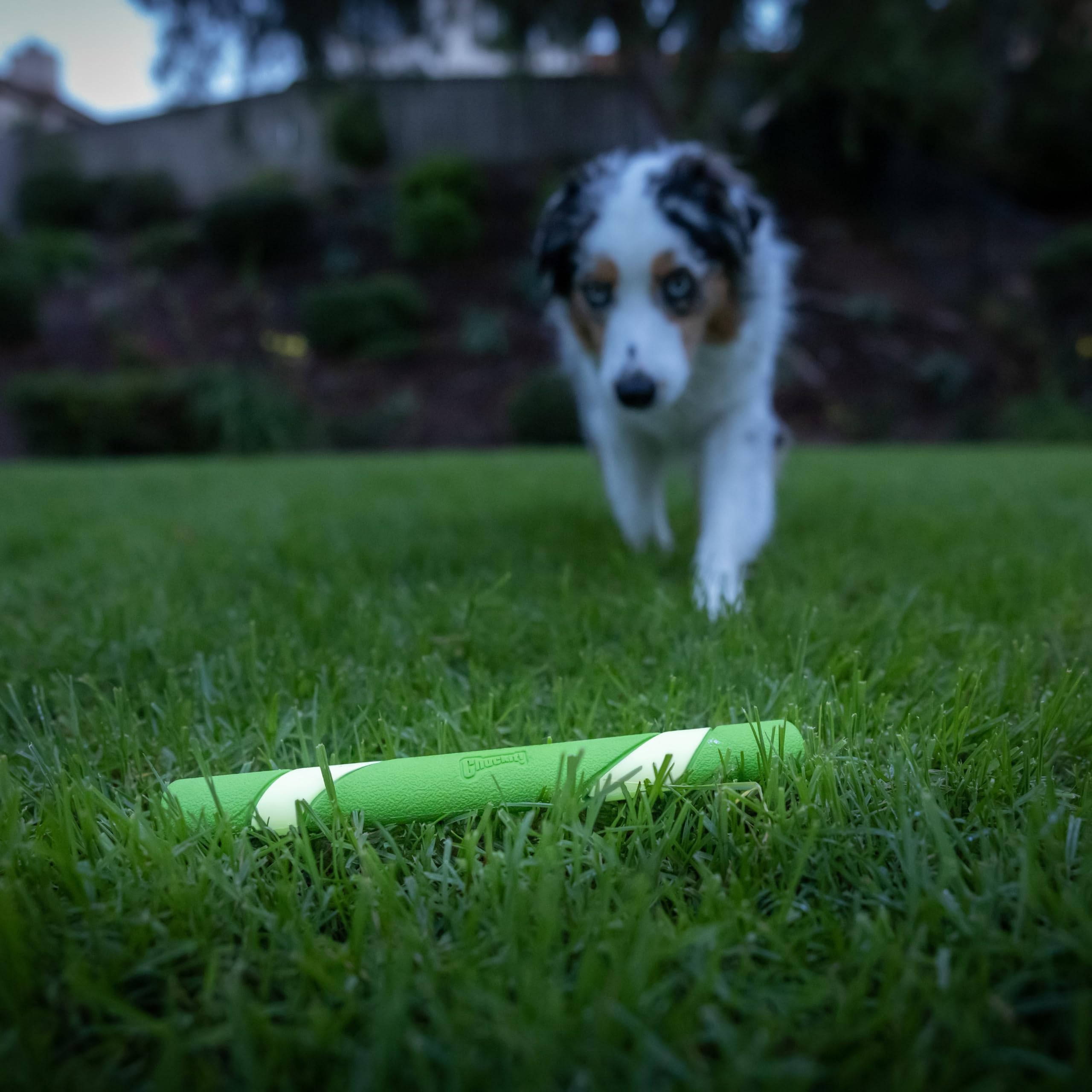 Chuckit! Max Glow Ultra Fetch Stick - Glow in the Dark Durable Rubber Dog Toy | 28cm