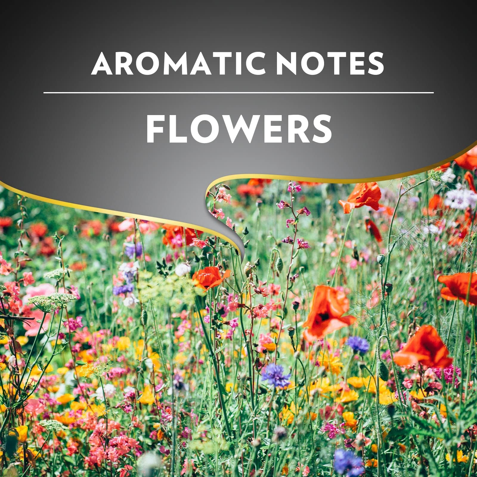 Lavazza Barista Perfetto Arabica and Robusta Drum Roast Coffee Beans 1kg 8