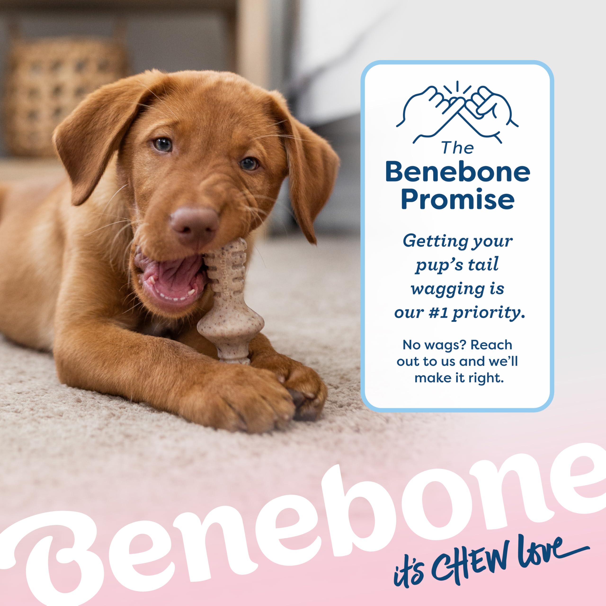 Benebone Puppy Tiny 2-Pack Indestructible Chew Toy - Real Bacon/Maple Flavor | For Dogs up to 15 lb 6