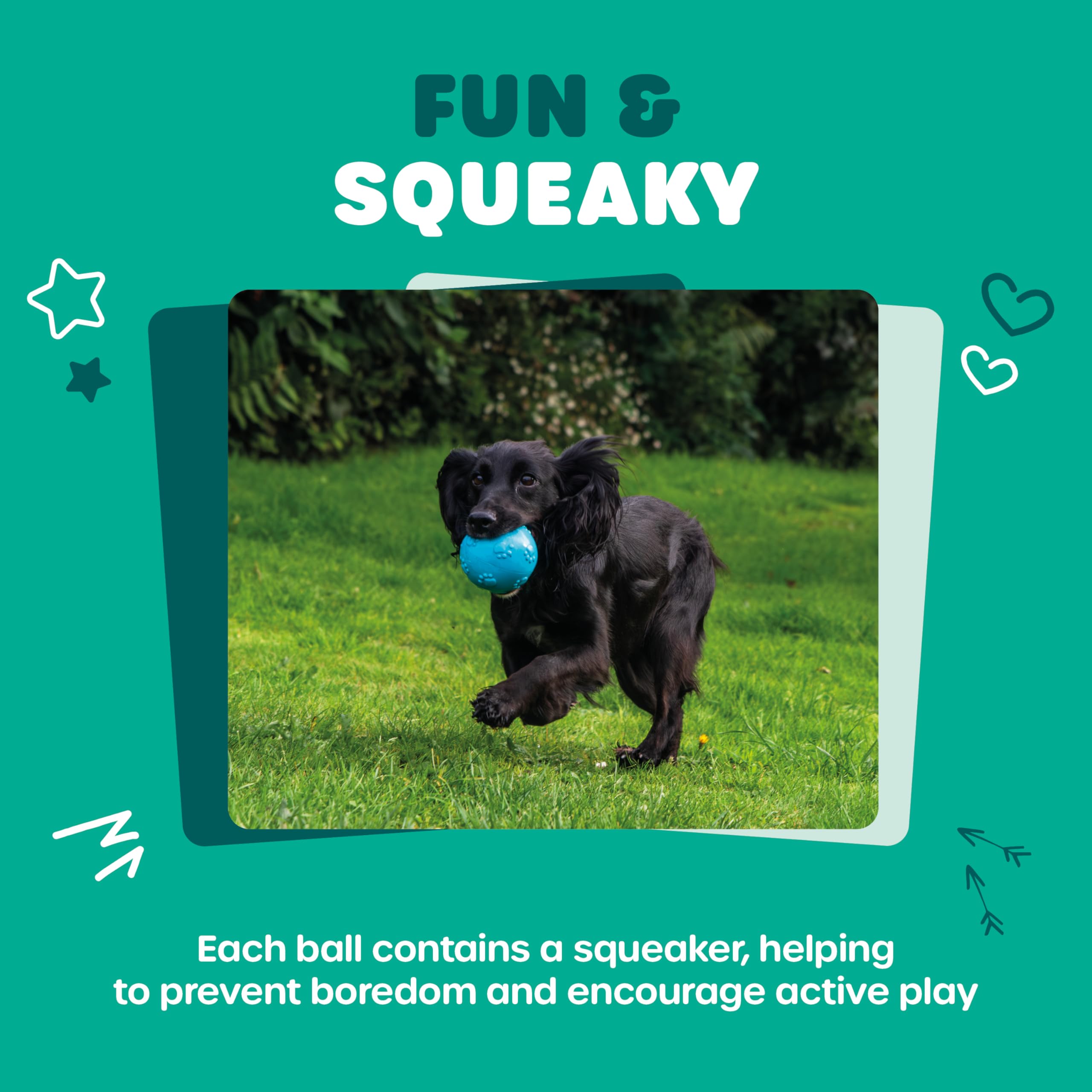 Webbox Fun & Squeaky Balls - 4 Pack for All Breed Sizes | Anxiety Relief | Exercise 2
