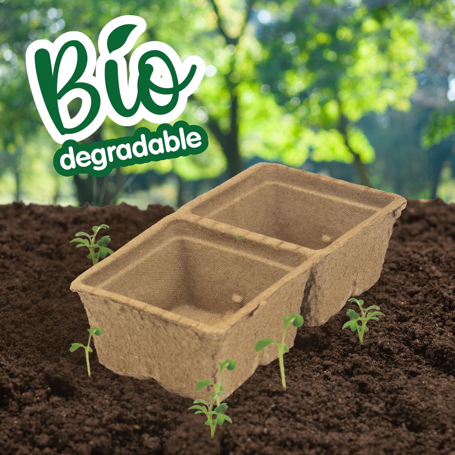 Science4you Small Greenhouse for Kids - Grow Kit with Watermelon, Melon & Watercress Seeds for Children 6+ 6