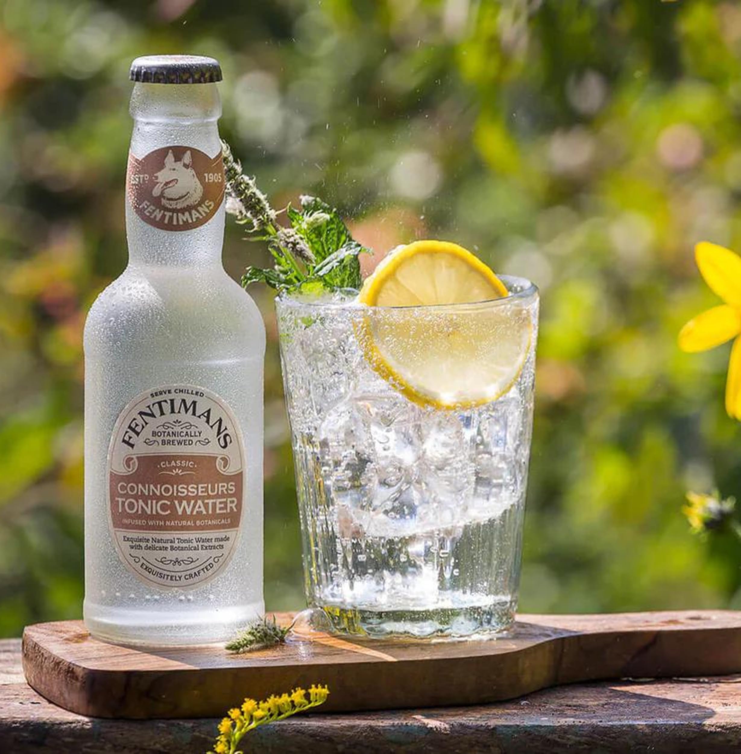 Fentimans Connoisseurs Tonic Water - Botanically Brewed with Natural Botanicals & Quinine 3