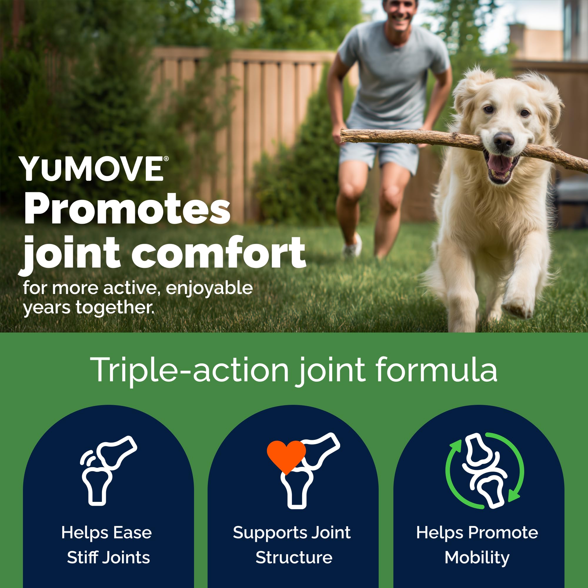 YuMOVE Senior Dog - Higher Strength Hip and Joint Supplement | 240 Tablets | Seafood Flavor 2
