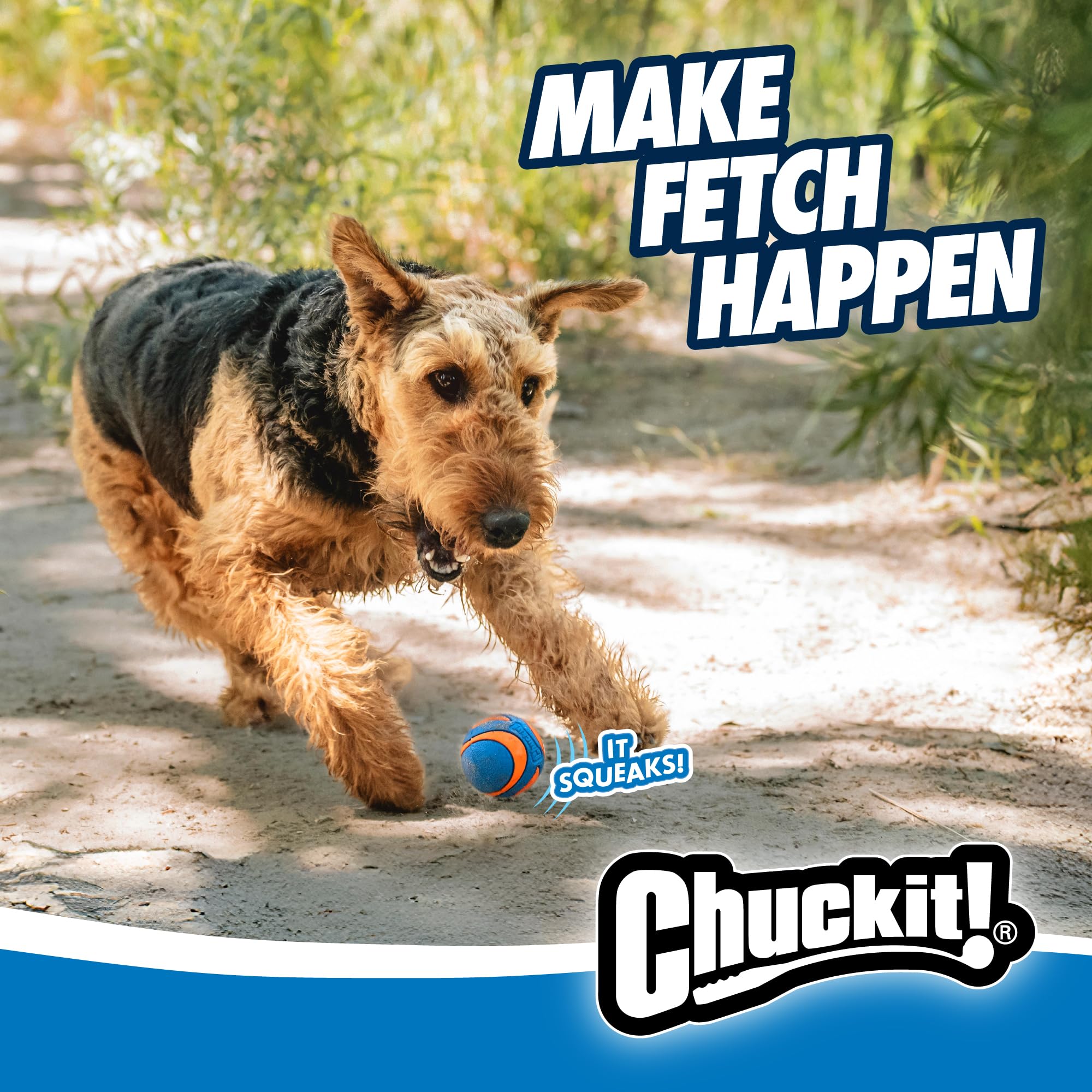 Chuckit! Ultra Squeaker Ball - Durable Natural Rubber Fetch Toy for Dogs | Medium Size 7