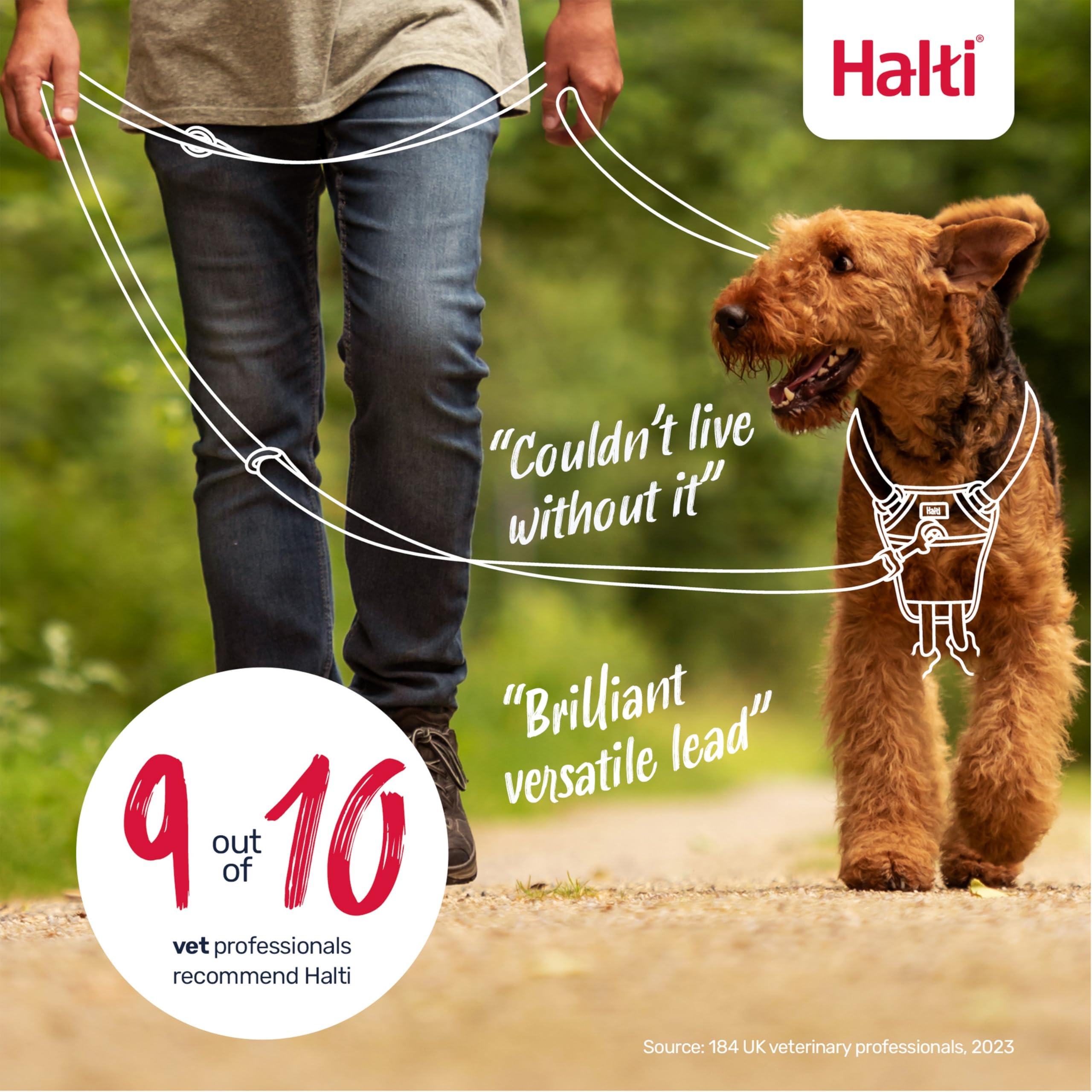 Halti Training Lead - Double-Ended Leash for No Pull Training | Size Small, Black, 2m 6