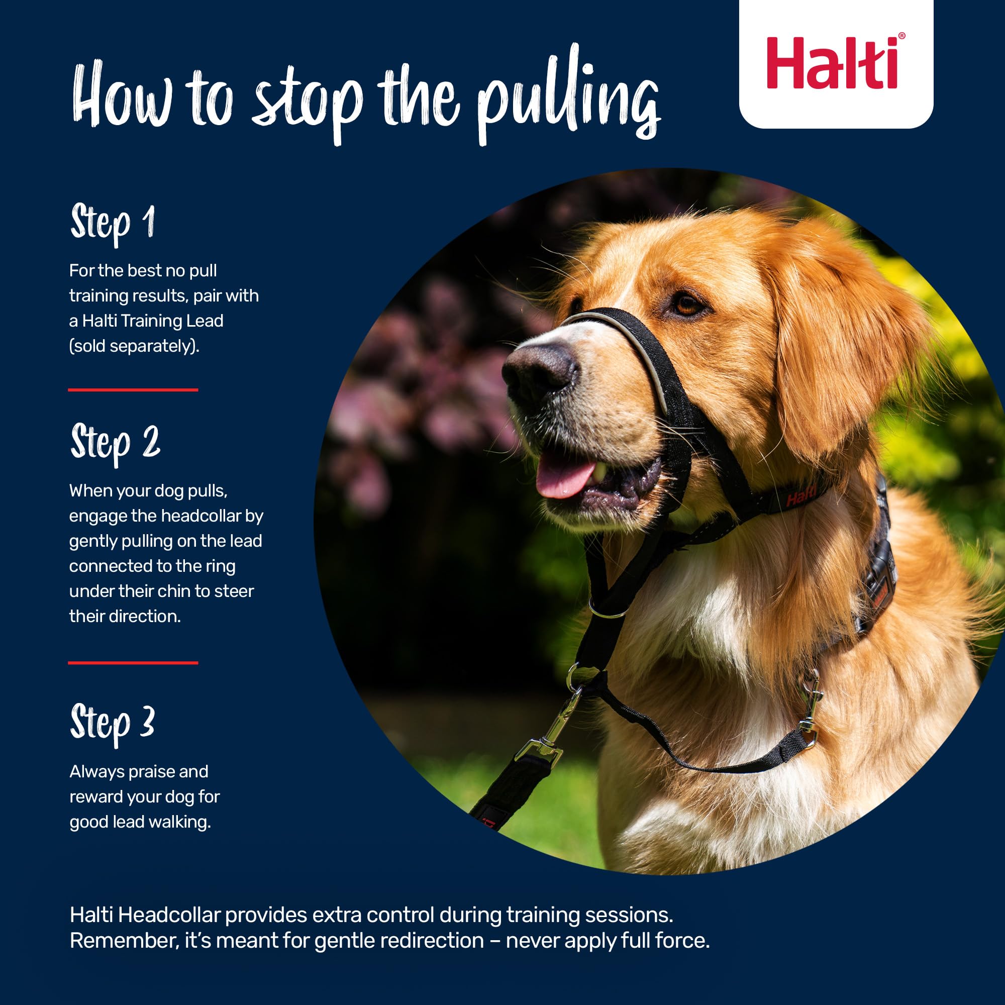 Halti Headcollar - Stops Pulling for Large Dogs | Reflective | Size 4 Desert Sand 4