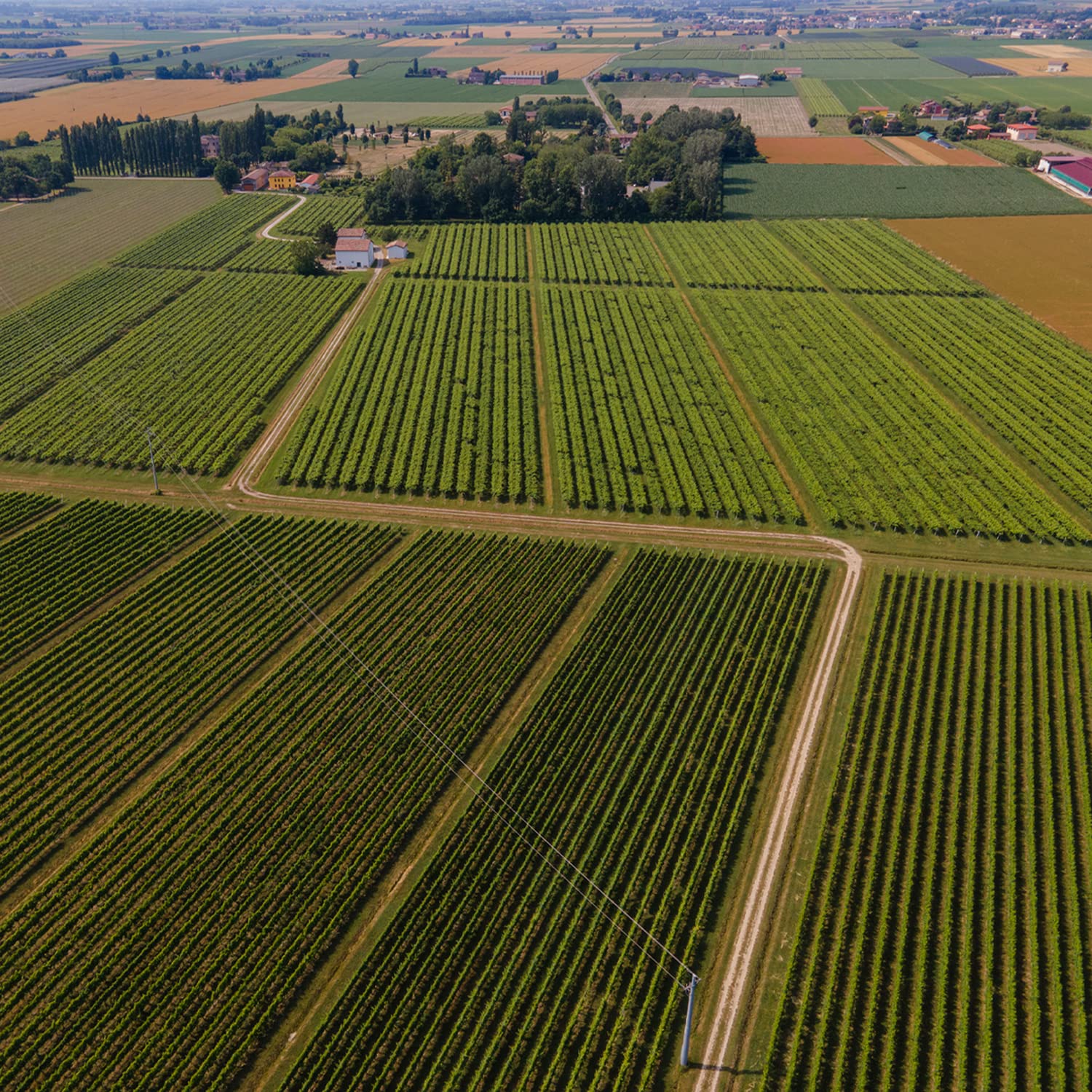 Mazzetti Yellow Label Core 2 Leaf Balsamic Vinegar of Modena 500ml 5