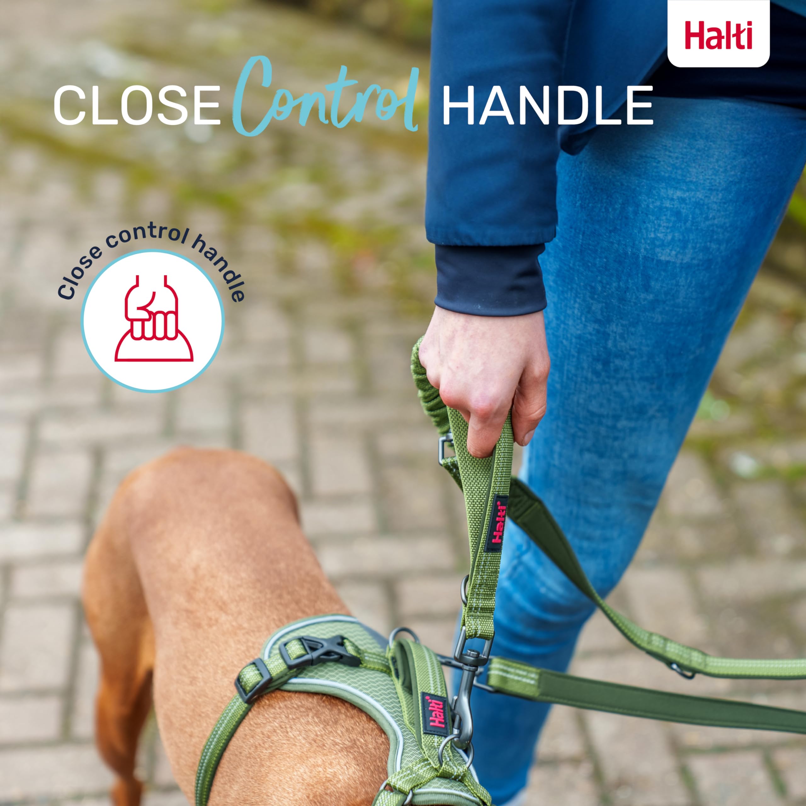 Halti Anatomy Multifunctional Dog Lead - Shock Absorbing Bungee | Size L, Magenta 6