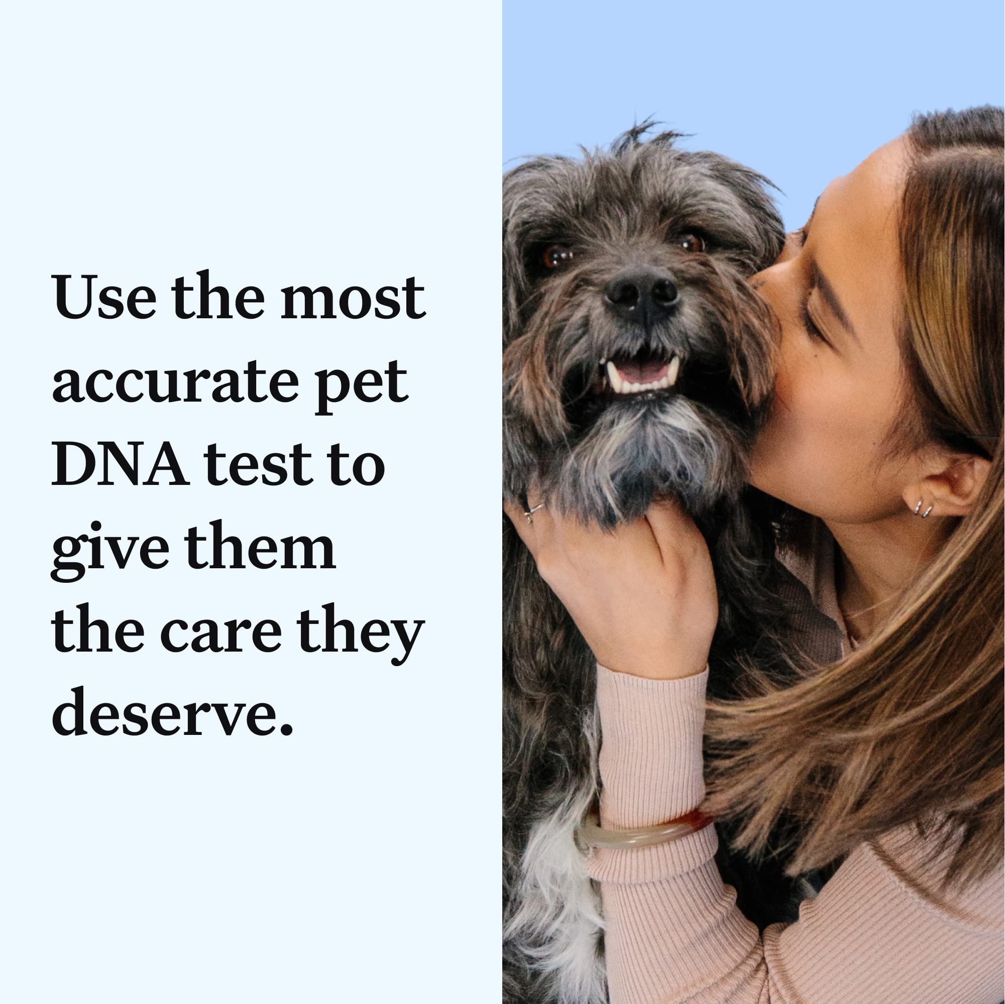 Wisdom Panel Essential Dog DNA Test Kit for Breed ID, Health Screening & Traits | 365+ Breeds 2
