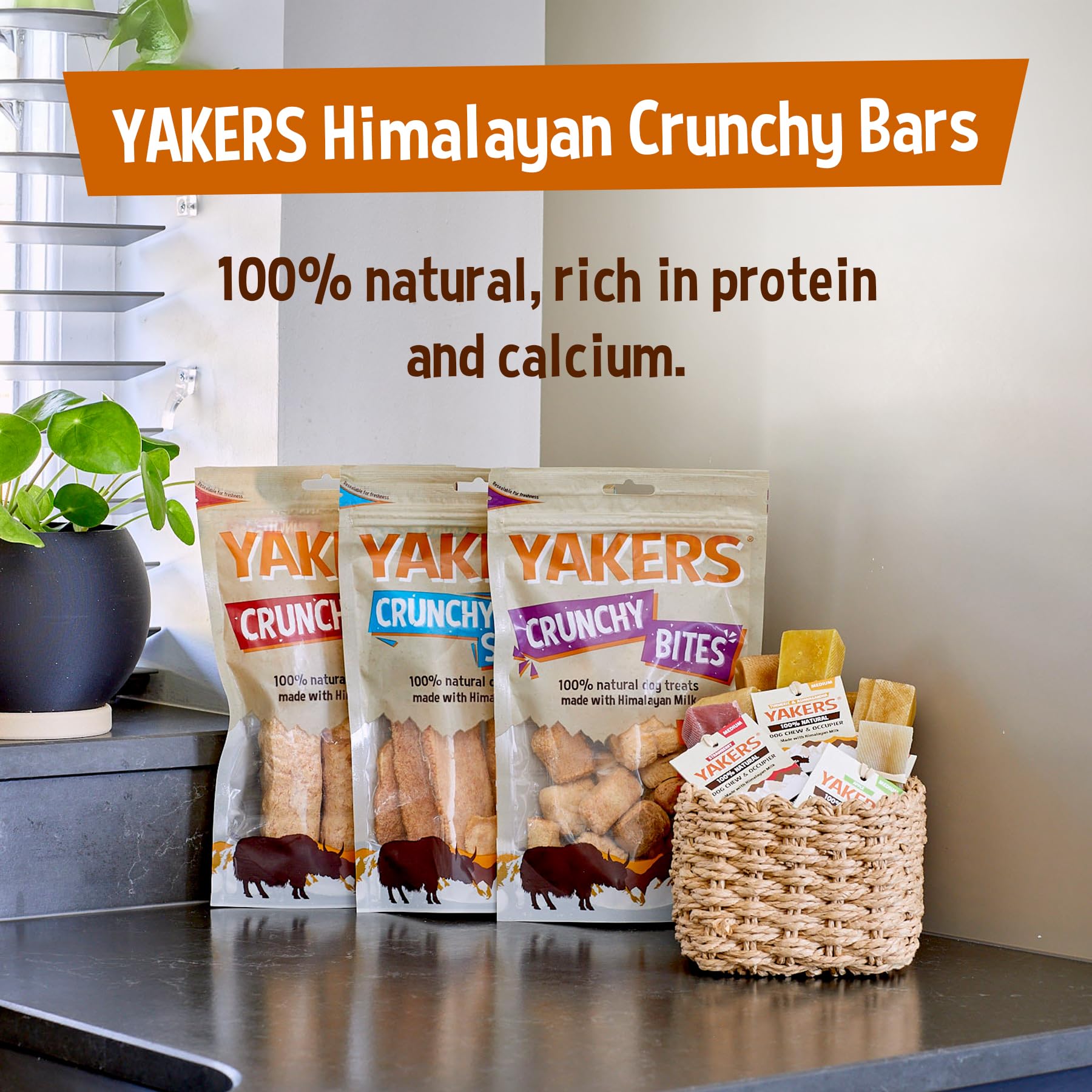 Yakers Blueberry Dog Chew - Medium Size | Protein & Calcium Rich | Promotes Dental Hygiene 9