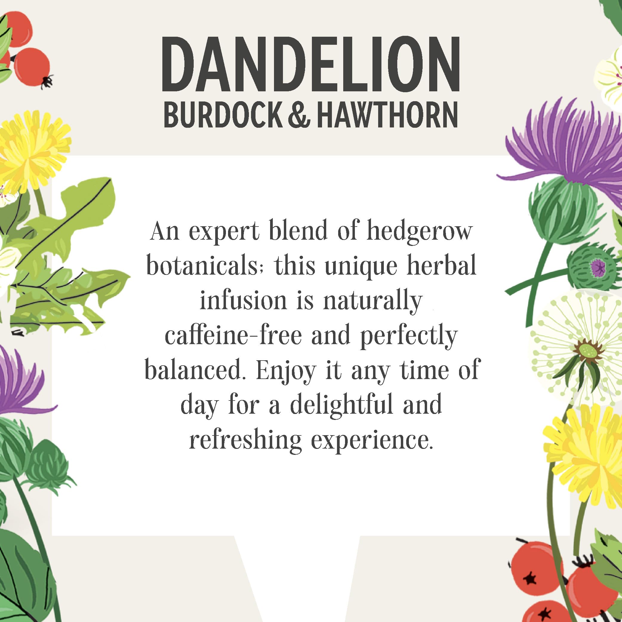 Heath & Heather - Organic Dandelion, Burdock & Hawthorn Tea Herbal Infusion 7