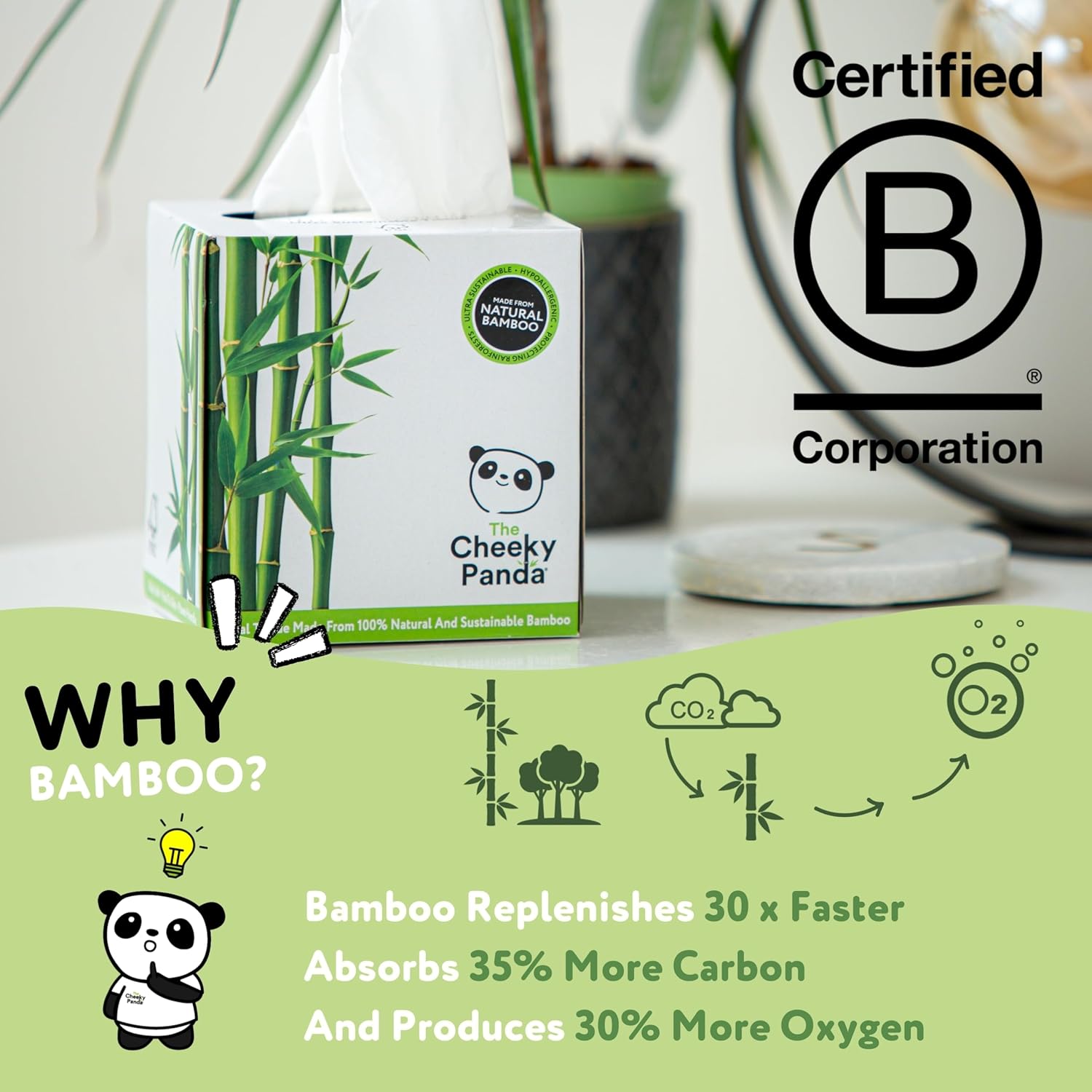 The Cheeky Panda - Bamboo Facial Tissues 12-Pack | Plastic-Free, Hypoallergenic Face Tissues 7