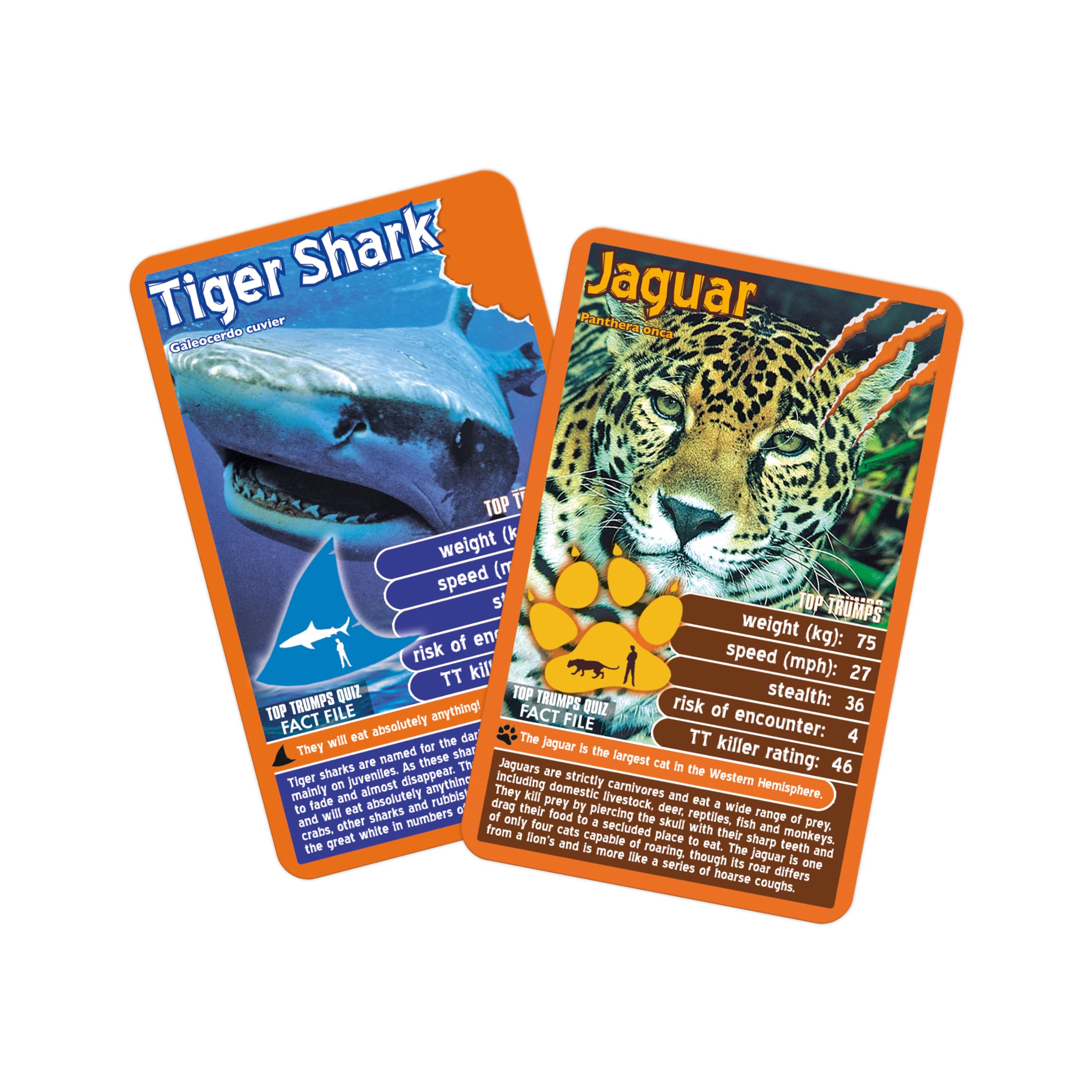 Top Trumps Birds Age 6+ of the World Classics Card Game, Discover some interesting facts in this educational packed game including the blue jay’s wingspan, 2 plus players makes a great gift for ages 6 plus 7