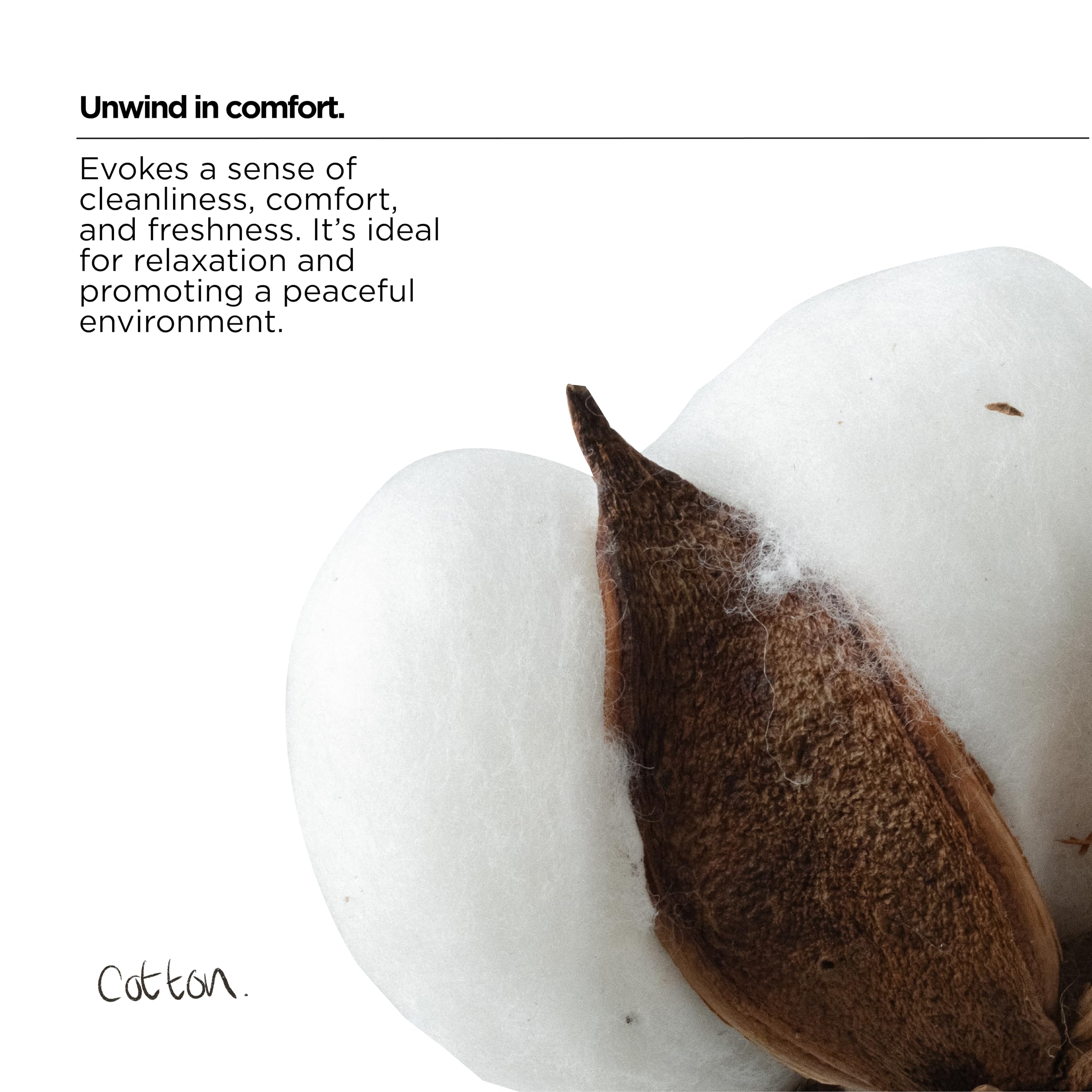 The Lab Co. - Non-Bio Fabric Conditioner Laundry Softener (1 Litre) 7