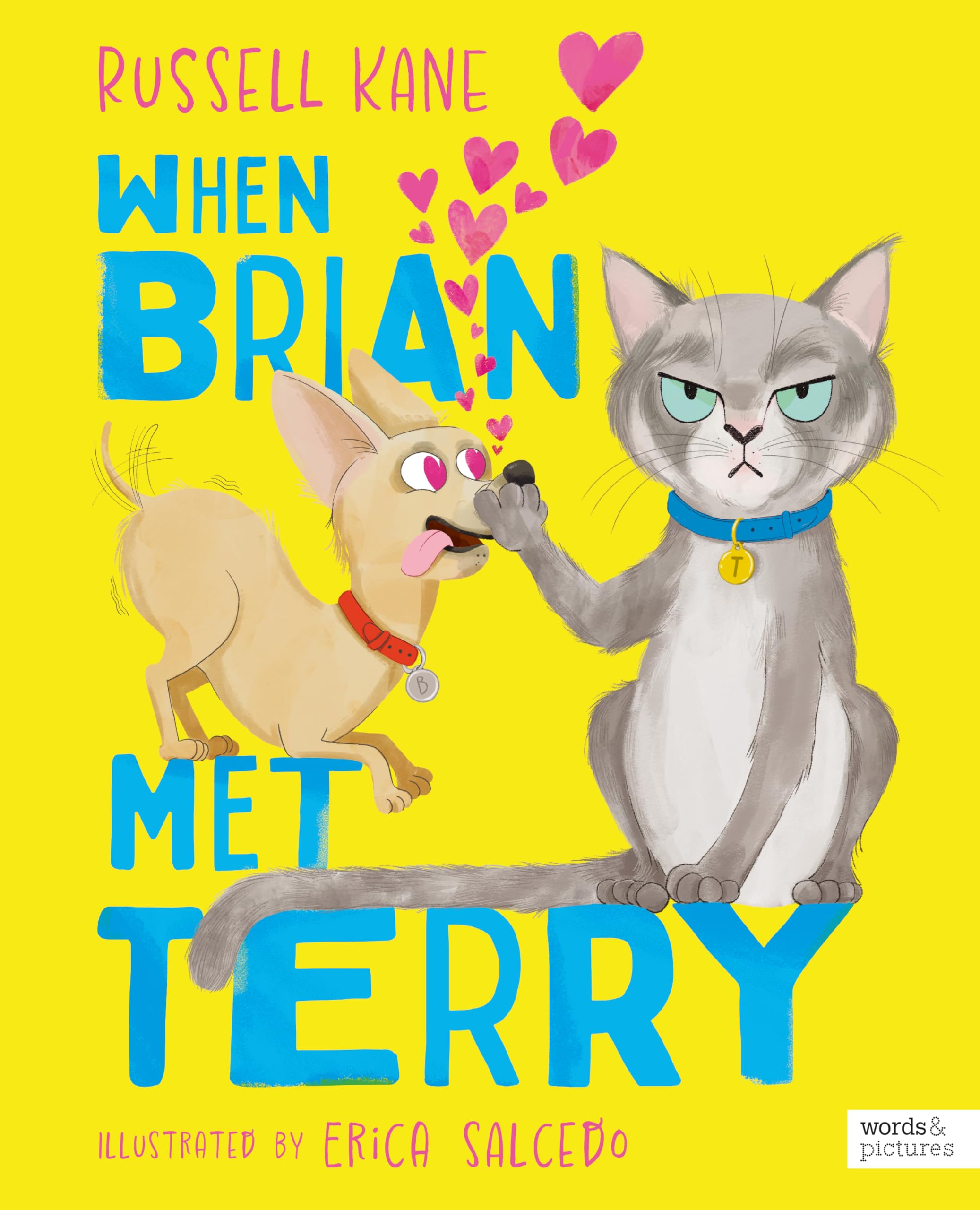 words & pictures When Brian Met Terry Picture Book | Ages 3-6 | Paperback