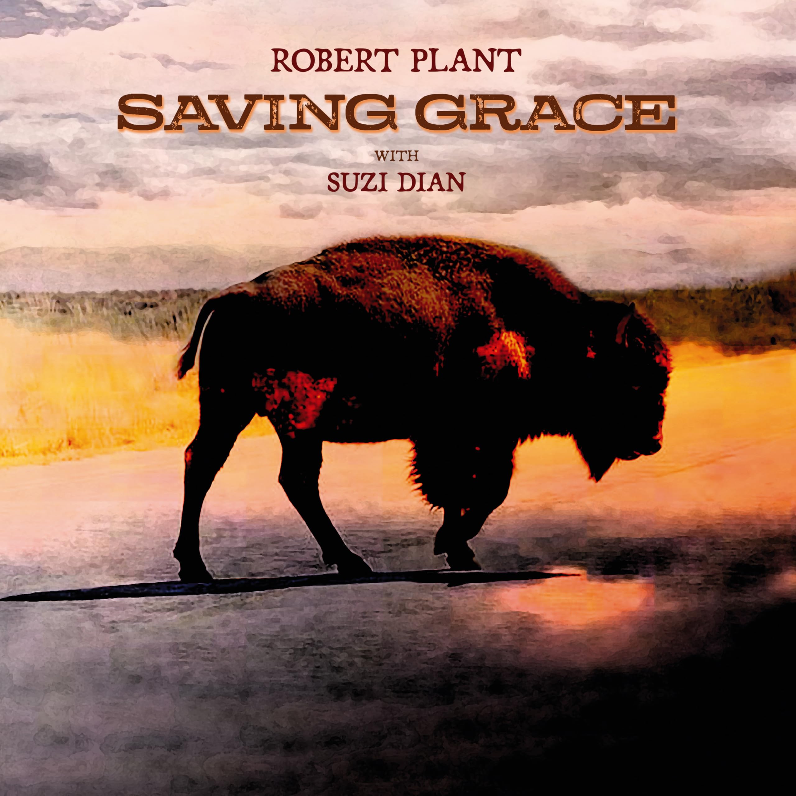 Robert Plant - Saving Grace (Black Vinyl) [VINYL]