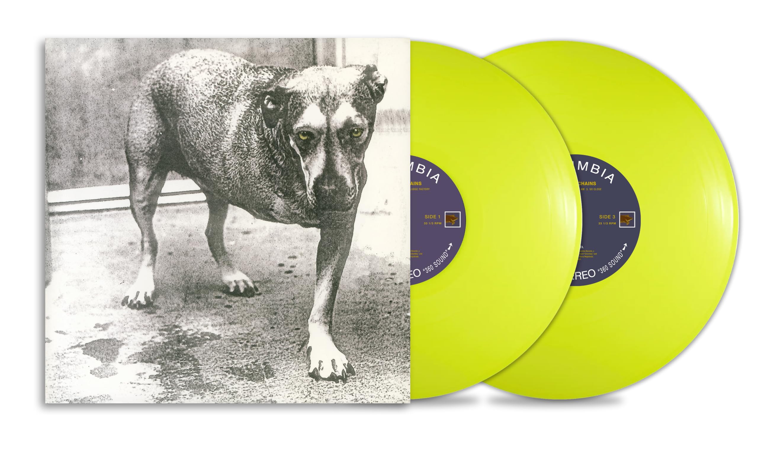 Alice In Chains - Alice In Chains [2LP Vinyl] 1