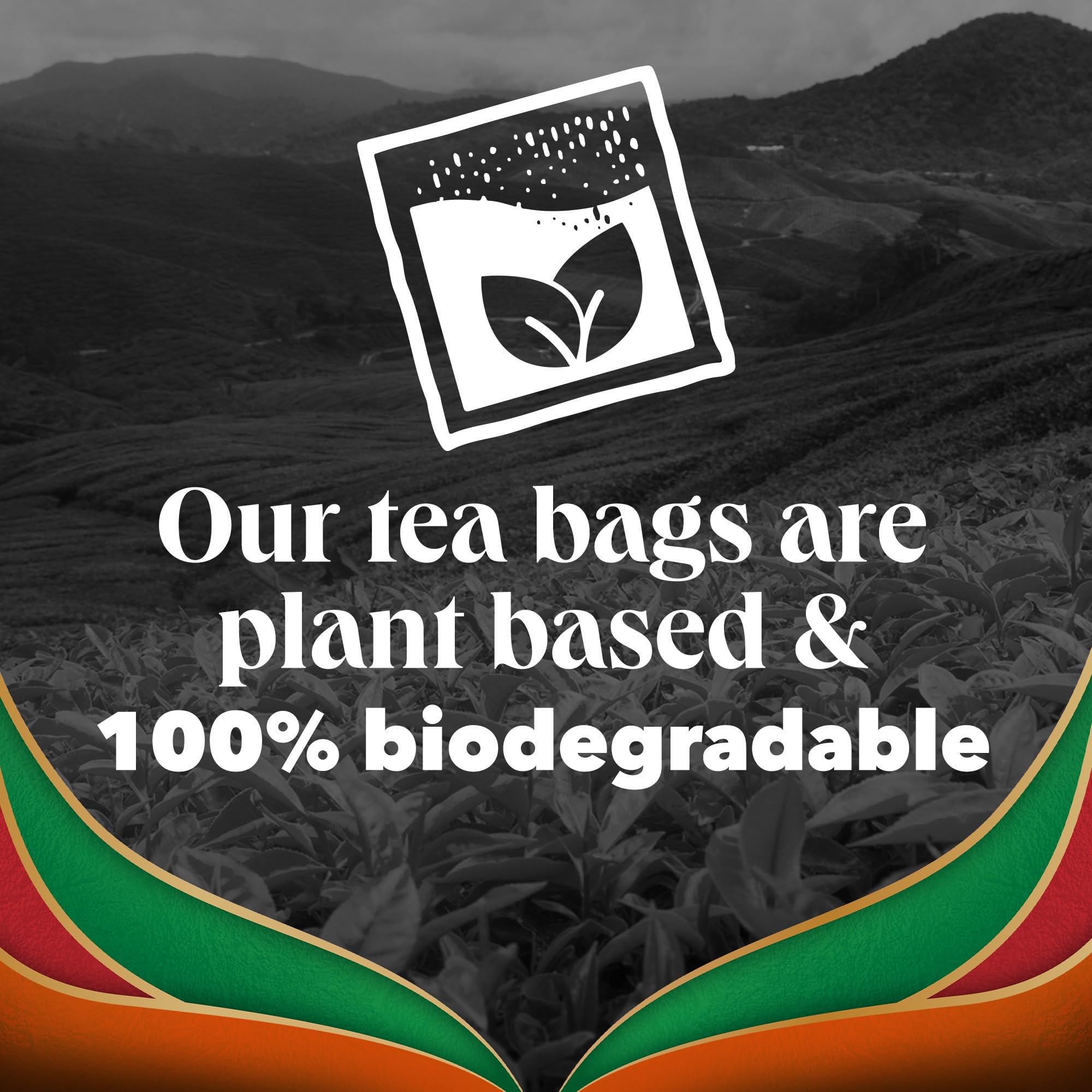 PG Tips - Special Blends Chai Tea Bags Bulk Pack 4