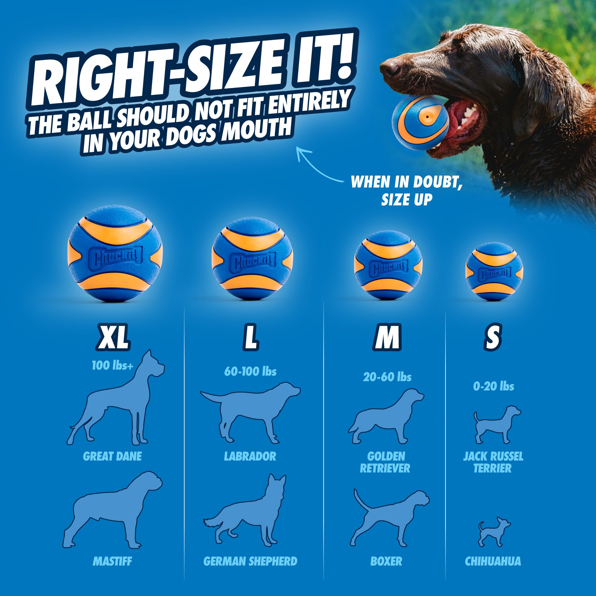 Chuckit! Ultra Squeaker Ball - Durable Natural Rubber Fetch Toy for Dogs | Medium Size 4