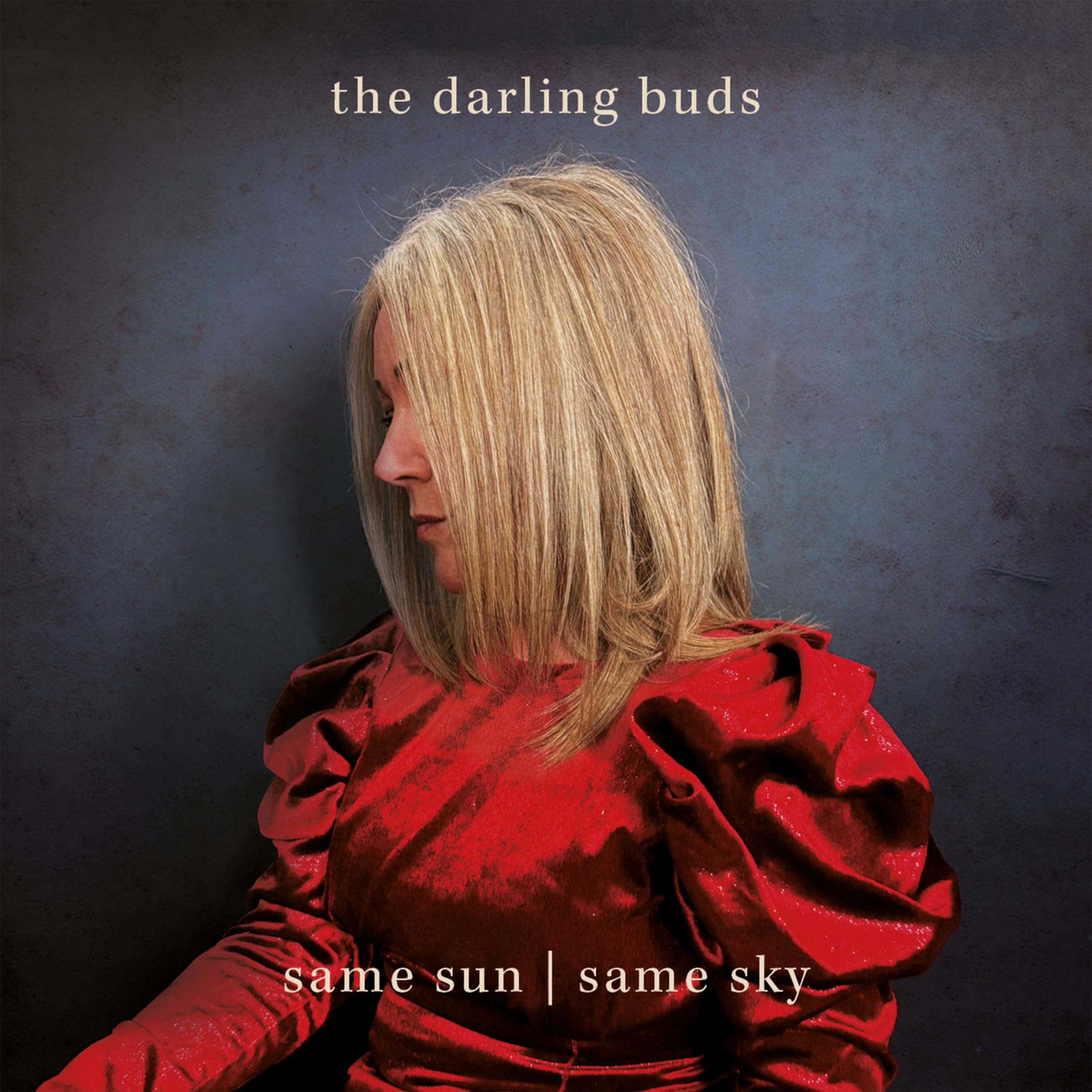THE DARLING BUDS - SAME SUN / SAME SKY [Vinyl] 1