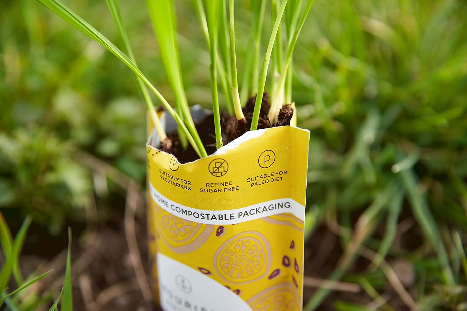 Nourish Organic Cacao Coconut Macaroons - Vegan, Gluten Free, Keto Snack 3