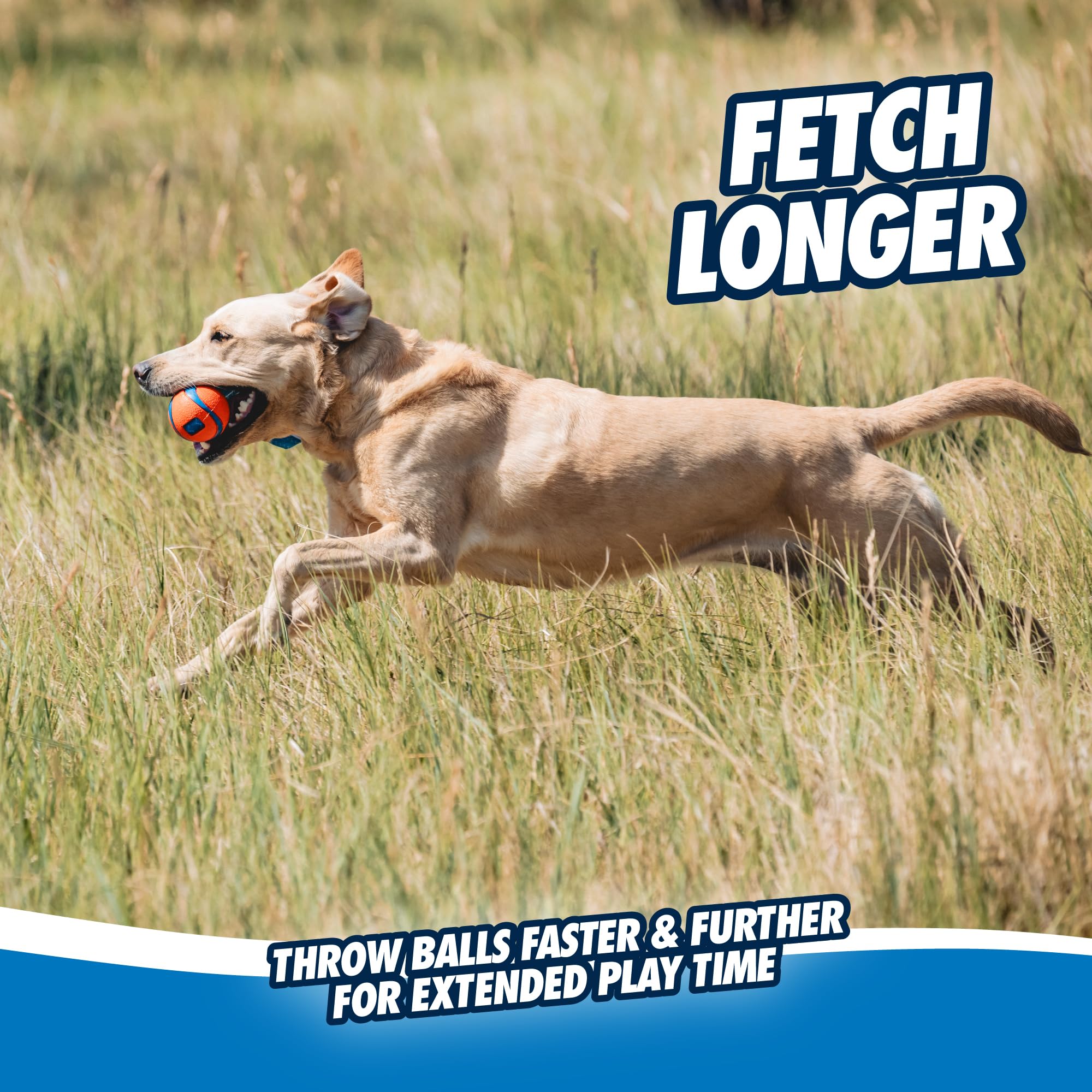 Chuckit! Ultra Tug Dog Toy - Medium Size, High Bounce, Durable Natural Rubber 5