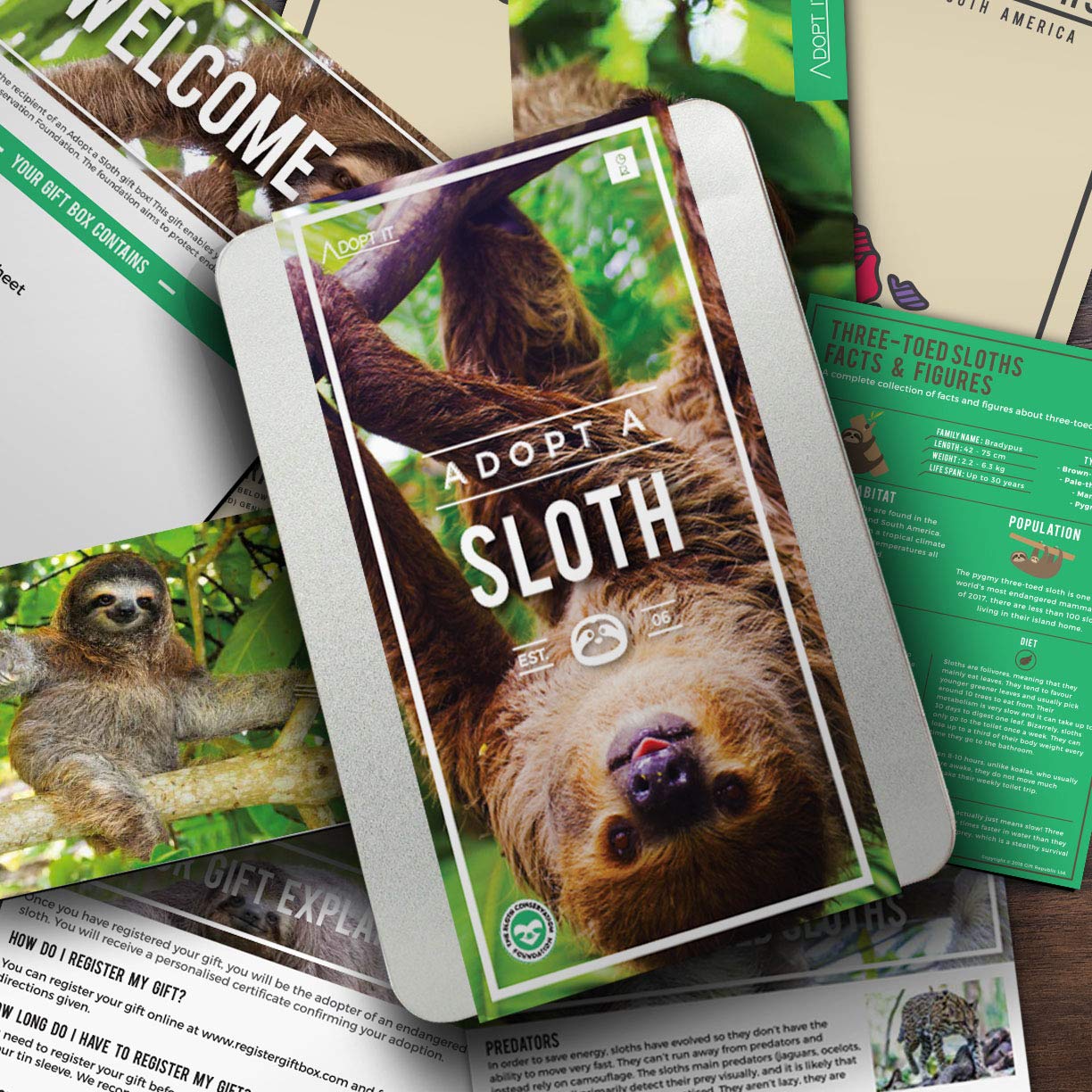 Gift Republic Adopt a Sloth Gift Box | 12-Month Adoption | Includes Poster & Certificate