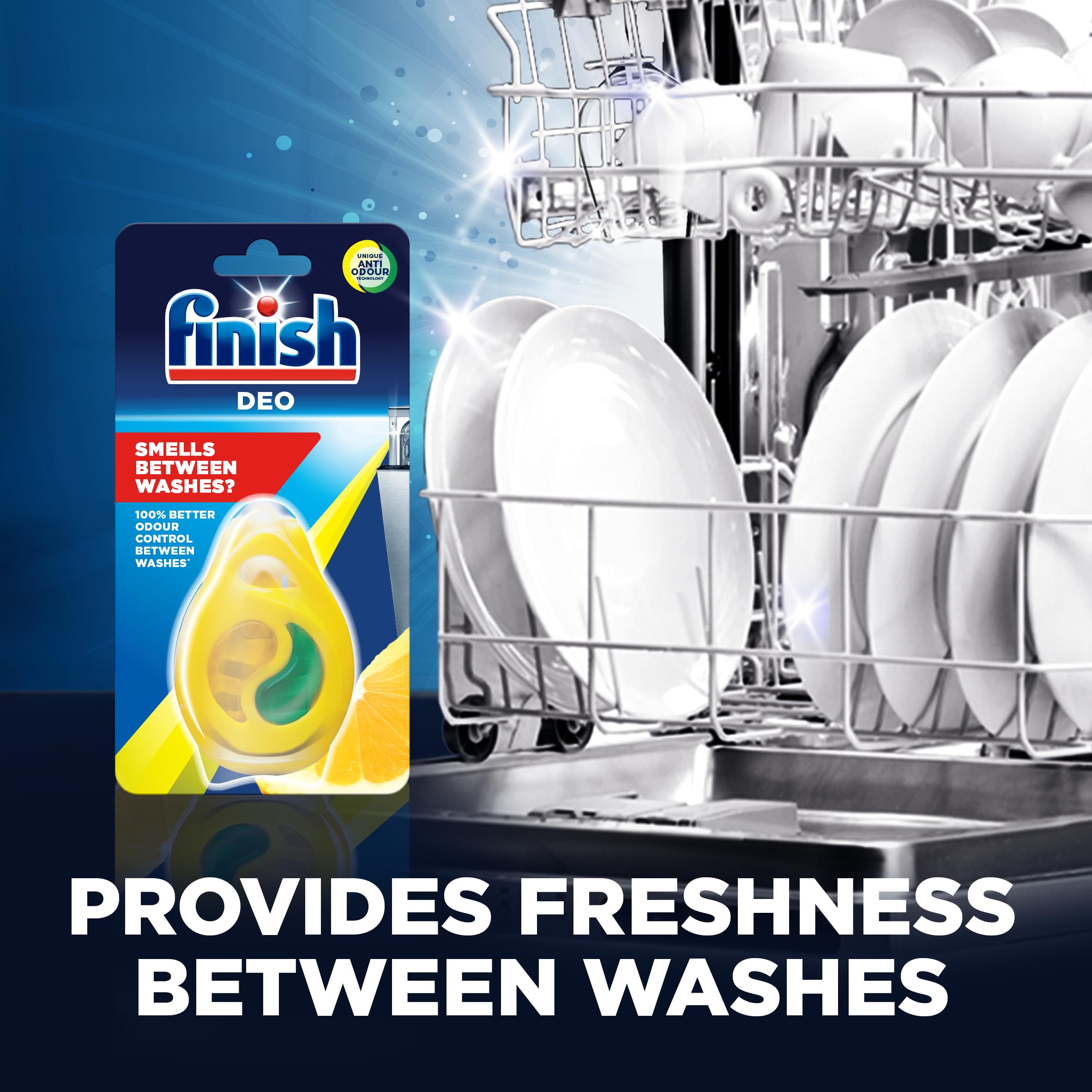 Finish - Lemon & Lime Dishwasher Freshener (15g) 6