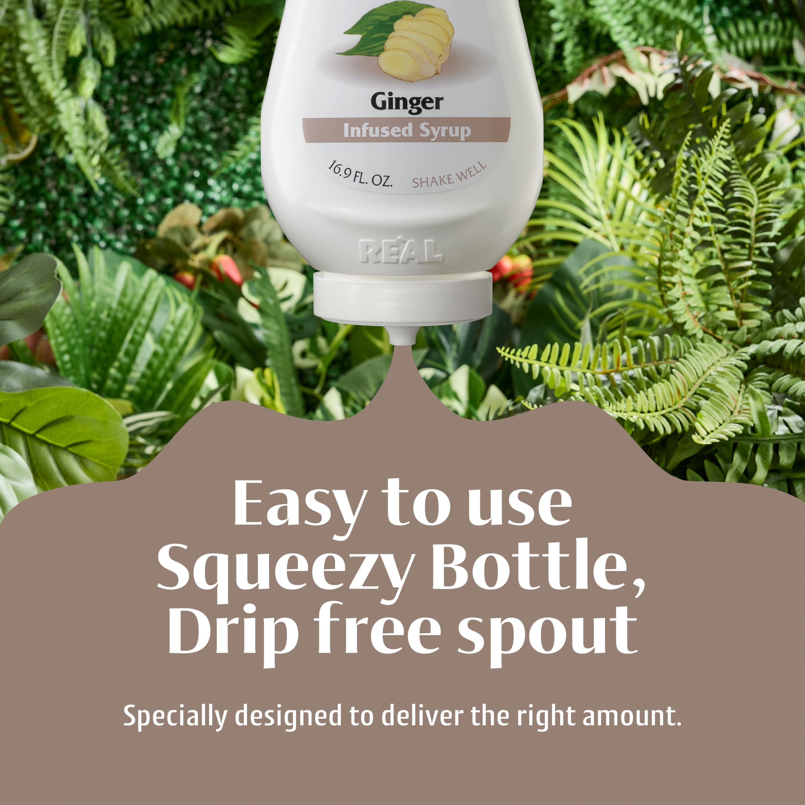 Reàl Infused Exotics - Ginger Puree Infused Fruit Syrup | 500ml Squeezy Bottle 3