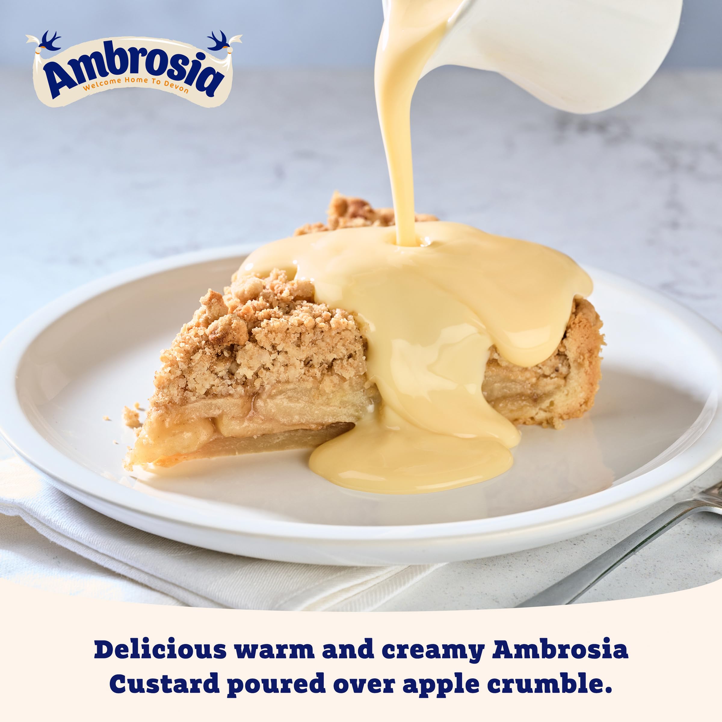 Ambrosia Light Devon Custard 500g - 30% Less Fat & Sugar, Ready-to-Eat Creamy Dessert 6
