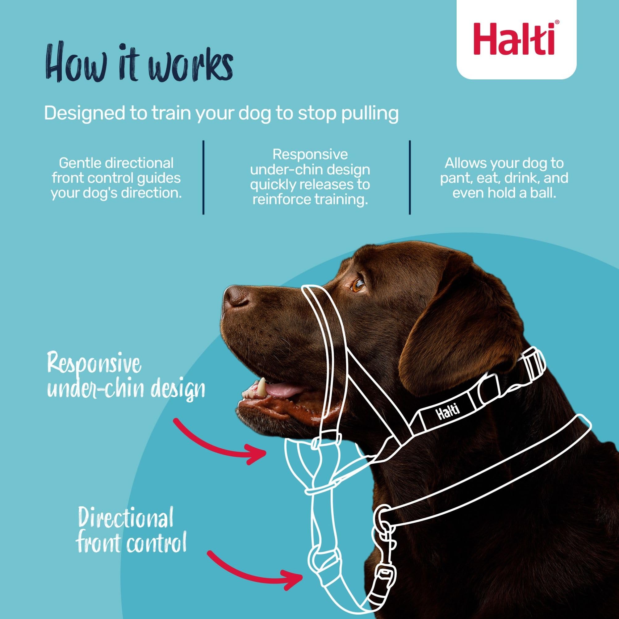 Halti Headcollar - Stop Pulling, Reflective Accents | Size 2 Cobalt Blue