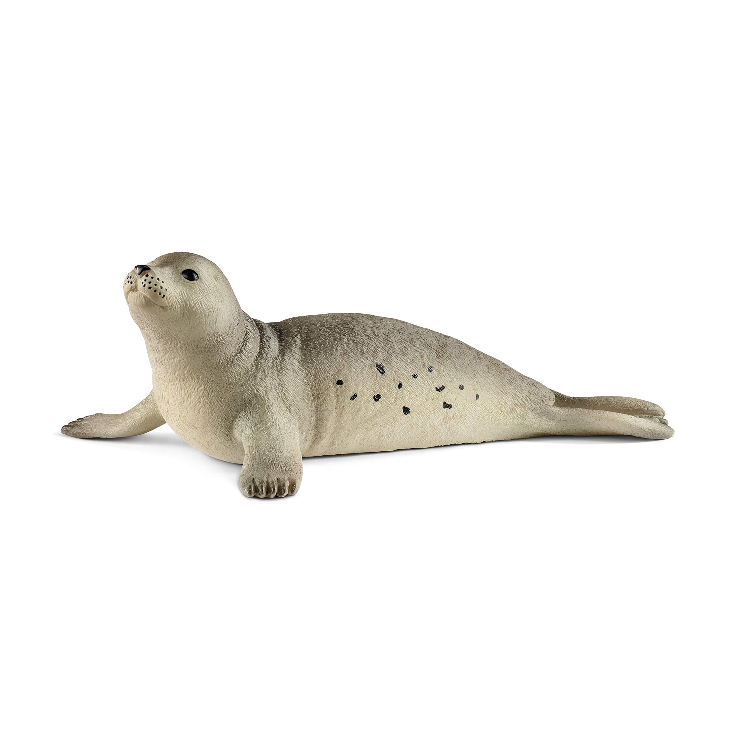 SCHLEICH 14801 Seal Wildlife Animal Figure - Educational Play for Kids 6