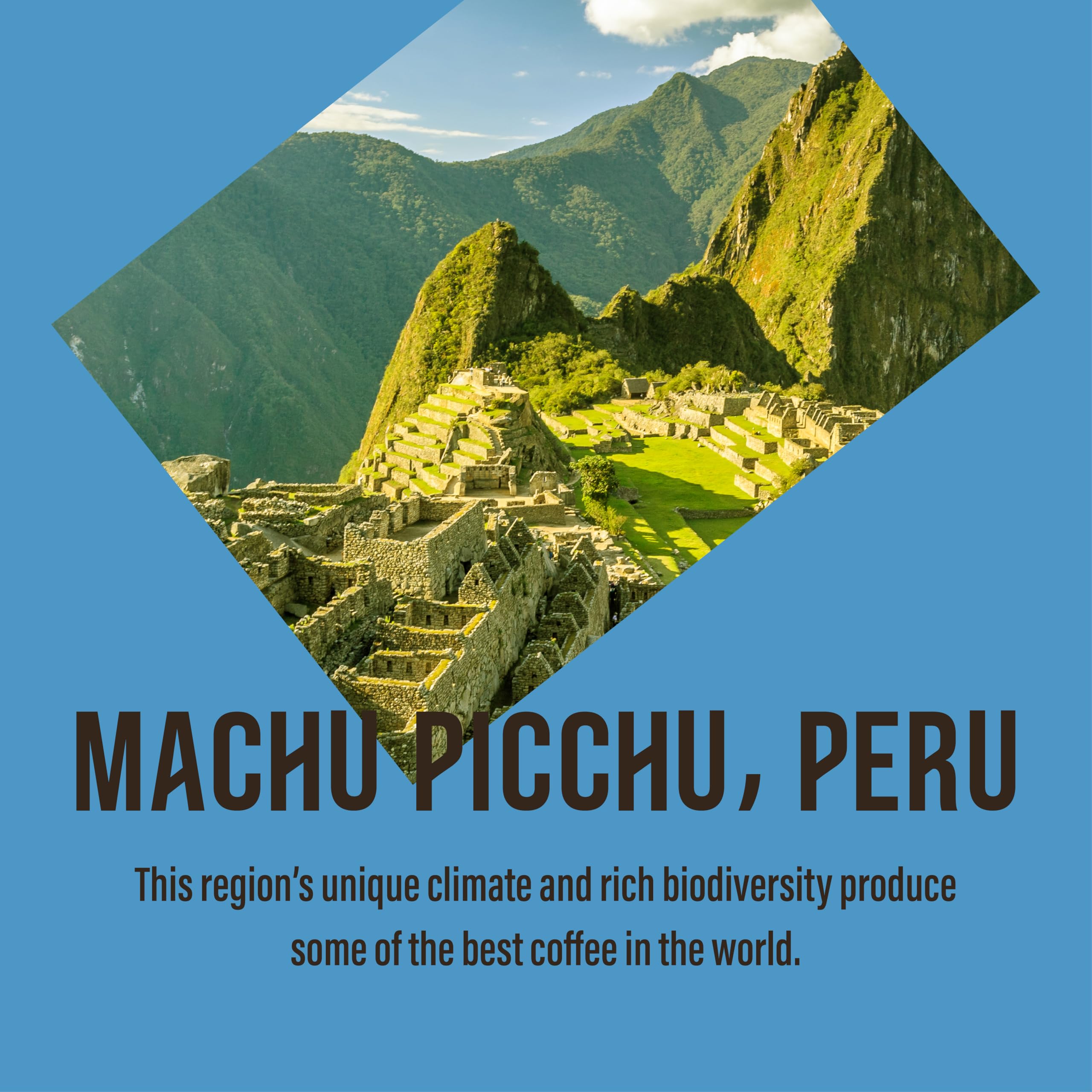 Café Direct Machu Picchu Decaf Coffee Bags - Fairtrade Arabica | 10 x 7g 3