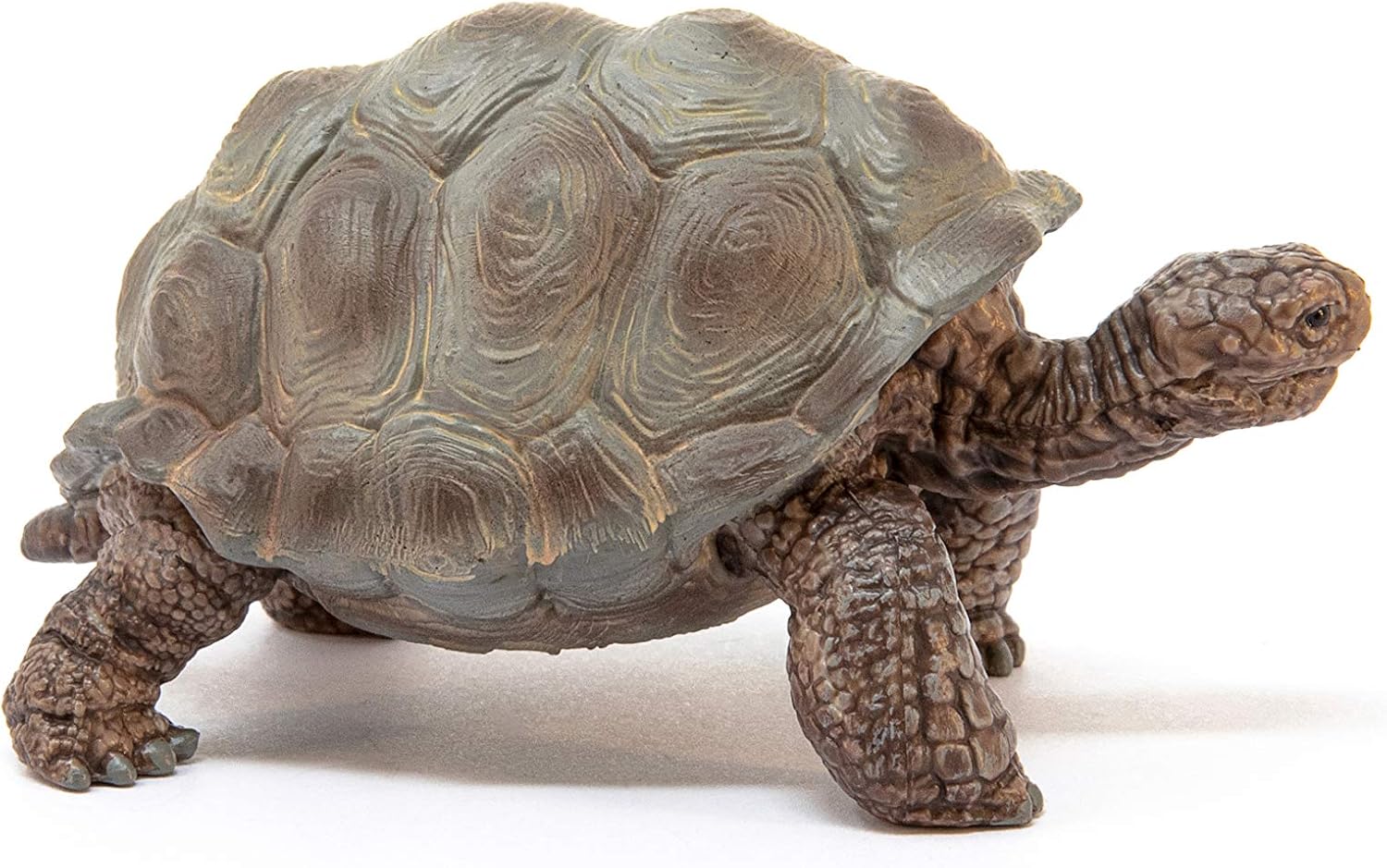 Schleich 14824 Giant Tortoise Wildlife Animal Figure - Educational Play for Toddlers & Kids 4