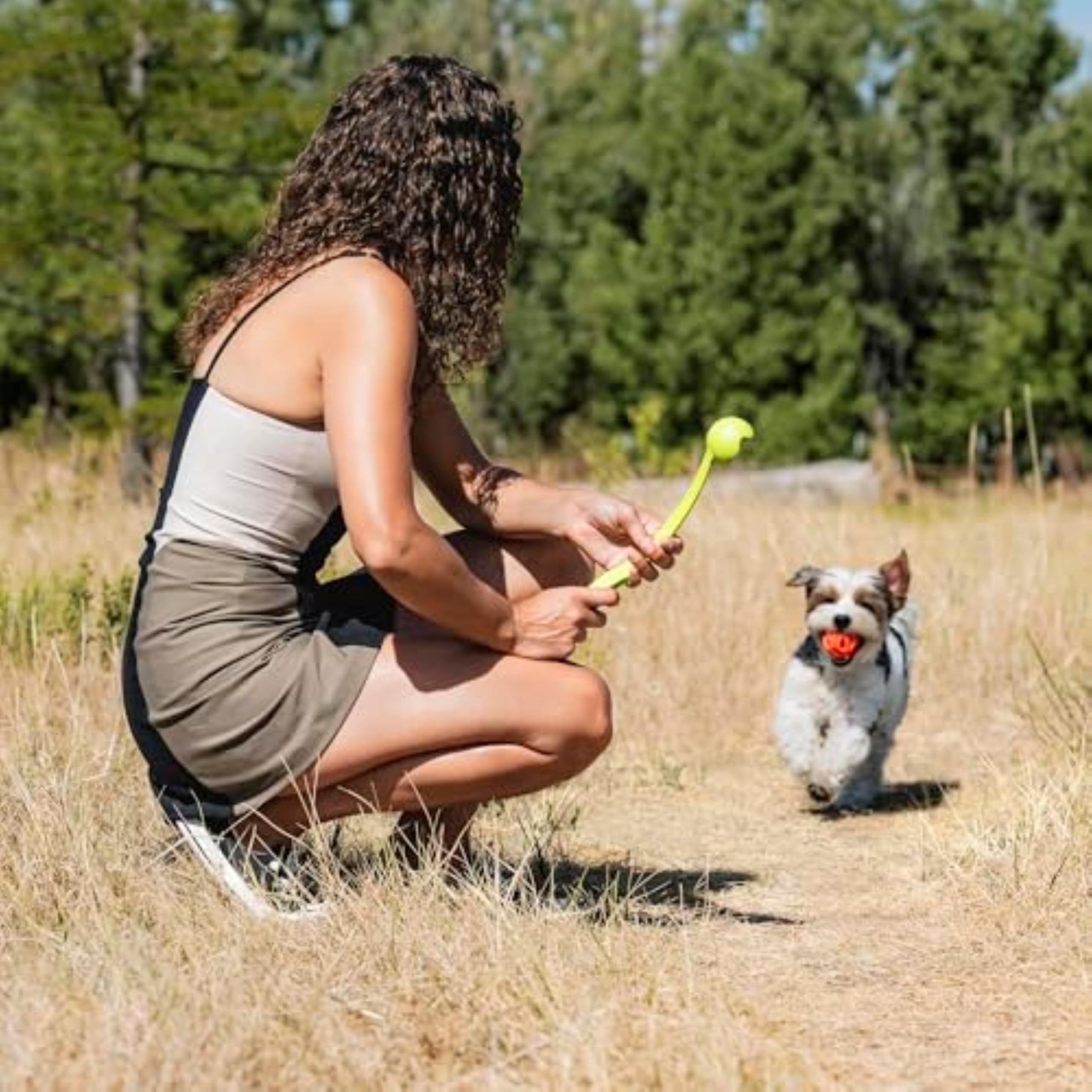 Chuckit! Air Fetch Ball - High Bounce Lightweight Rubber Dog Toy | Medium Size | Multi-colored 2