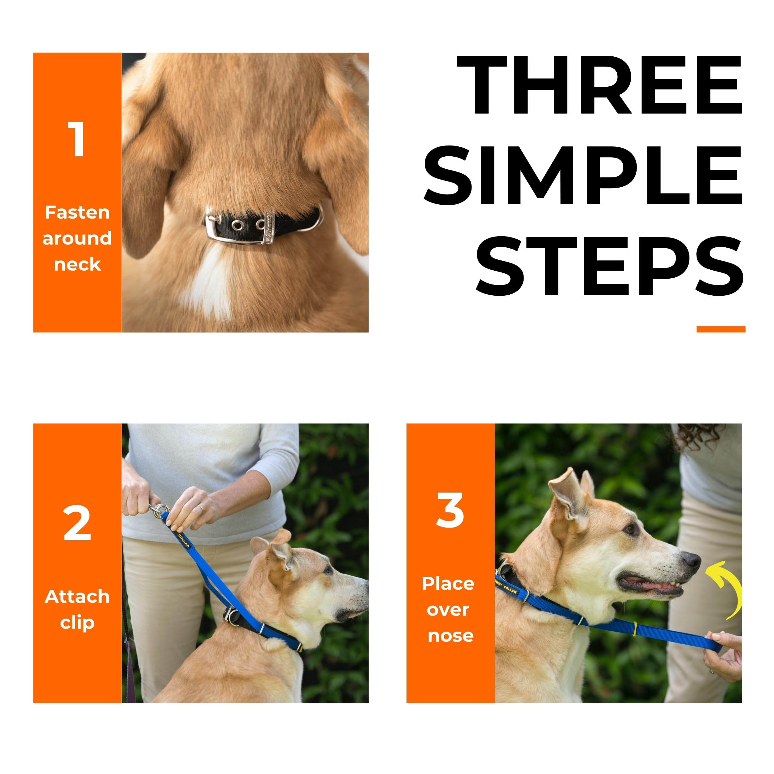 Canny - Canny Collar Head Collar for Dog Training and Walking - Black (Size 4, Model 02-1005) 18