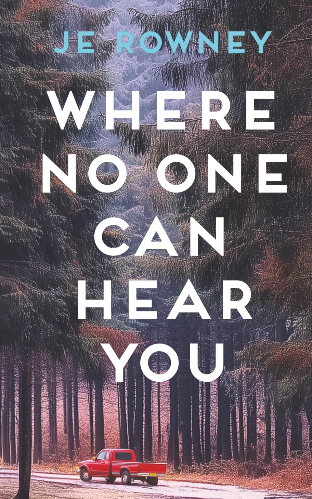 Where No One Can Hear You (The Survivor Stories) by J.E. Rowney - Psychological Thriller Paperback