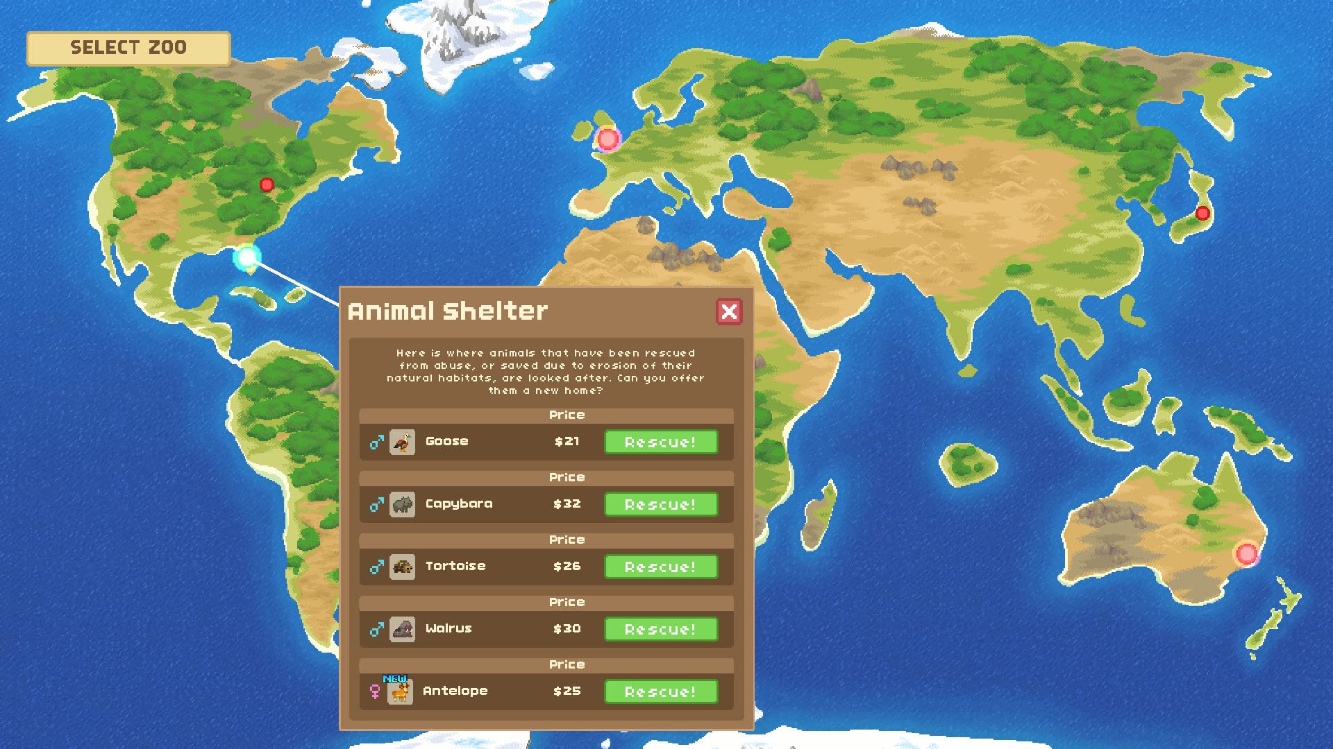 Let’s Build a Zoo - Nintendo Switch 13