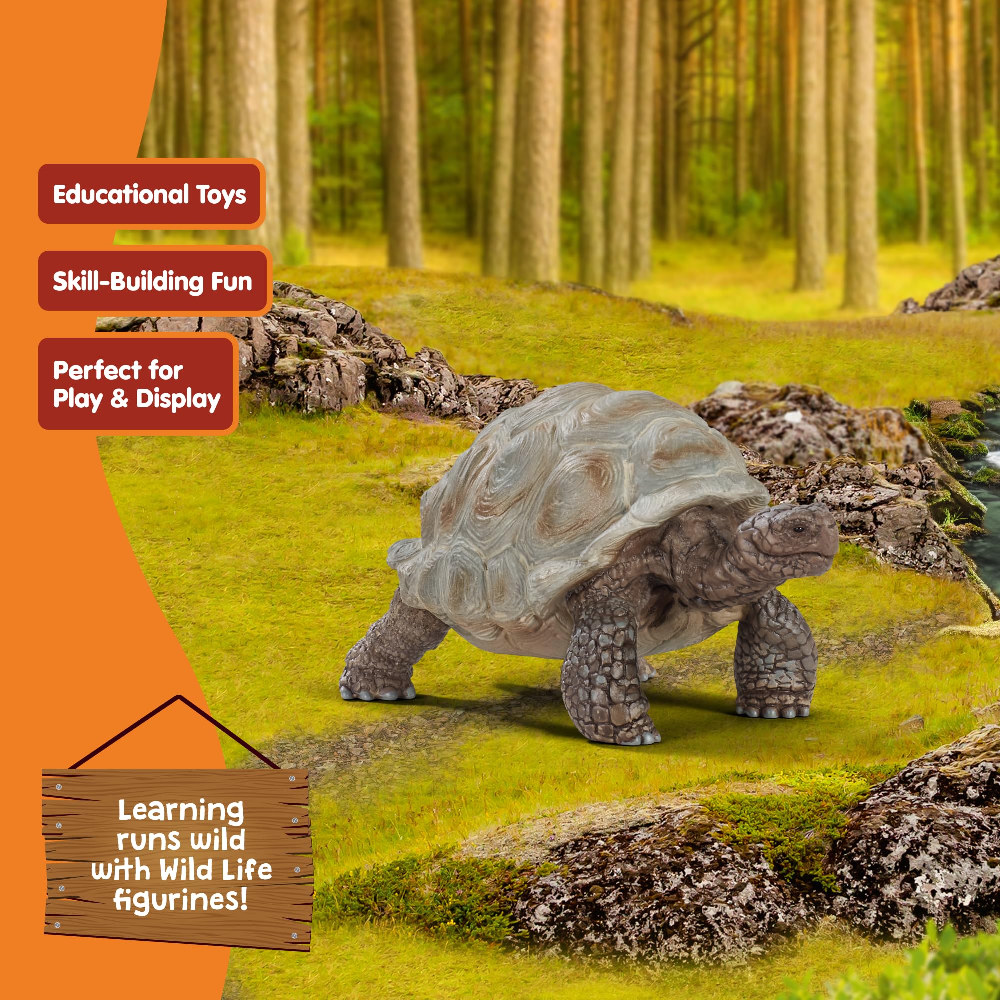 Schleich 14824 Giant Tortoise Wildlife Animal Figure - Educational Play for Toddlers & Kids 6