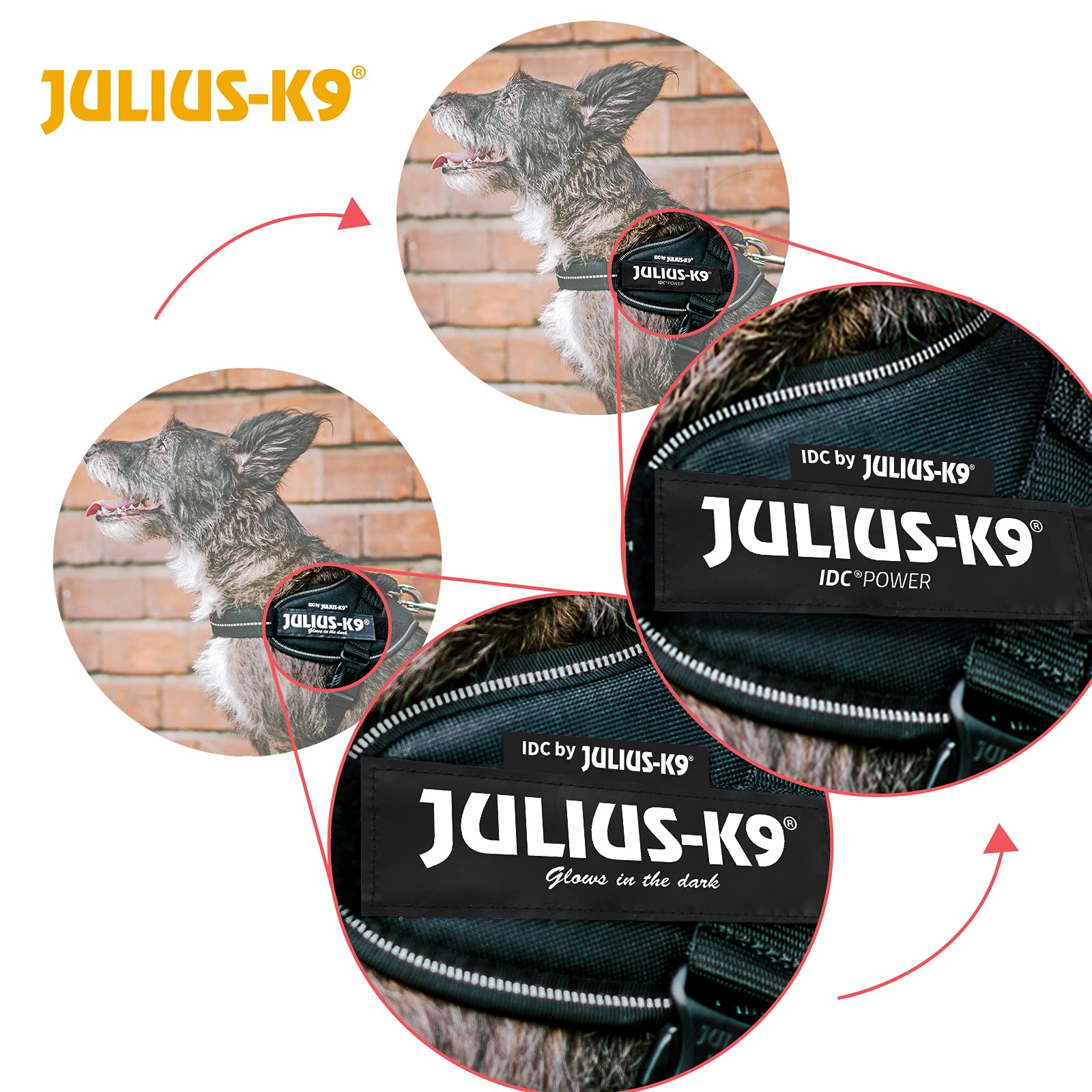 Julius-K9 IDC Powerharness - Blue Vest Harness for Dogs | Size S/Mini (7-15 kg) 5