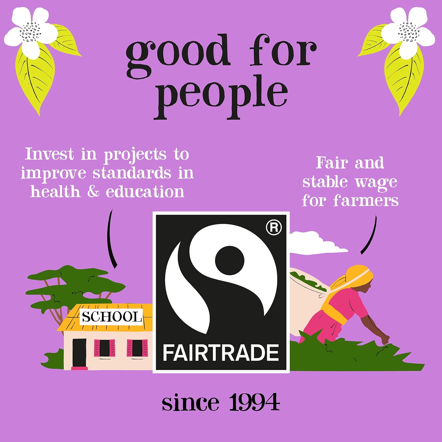 Clipper Fairtrade Everyday One Cup Teabags (440 Teabags) 10