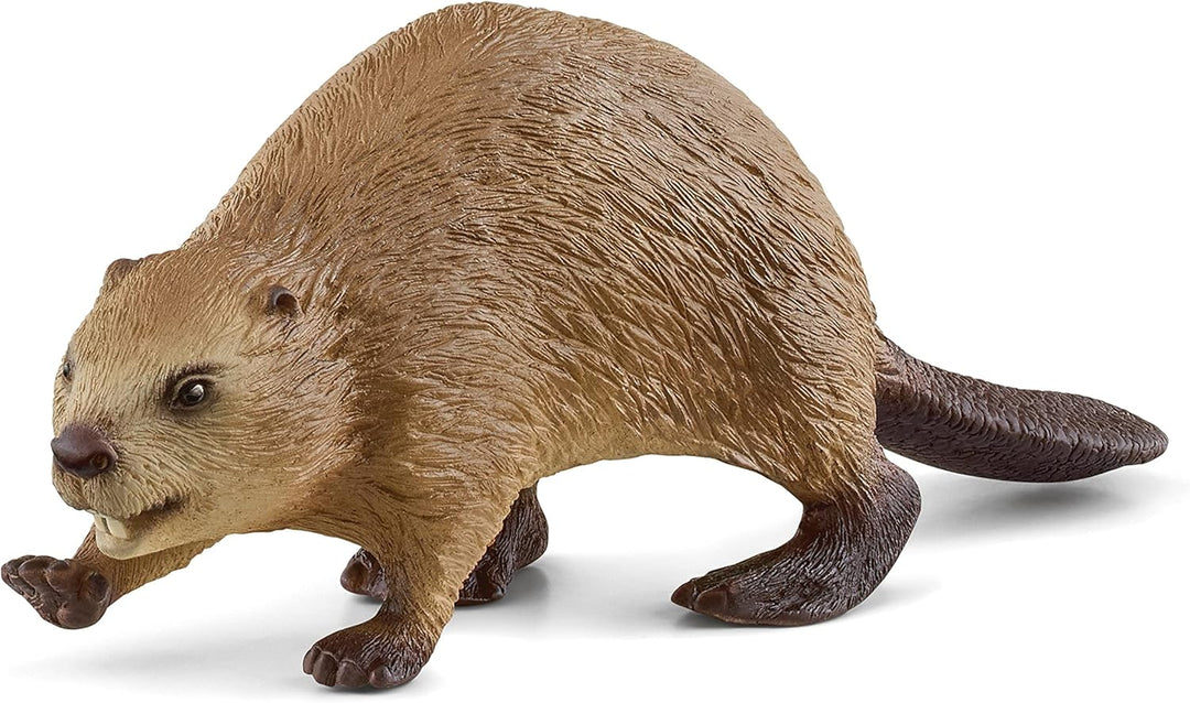 Schleich 14855 Beaver Figurine - Realistic Wild Life Animal Toy for Ages 3+